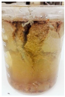 Sustainability 14 00102 i012