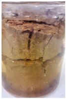 Sustainability 14 00102 i016