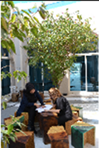 Sustainability 14 00141 i045