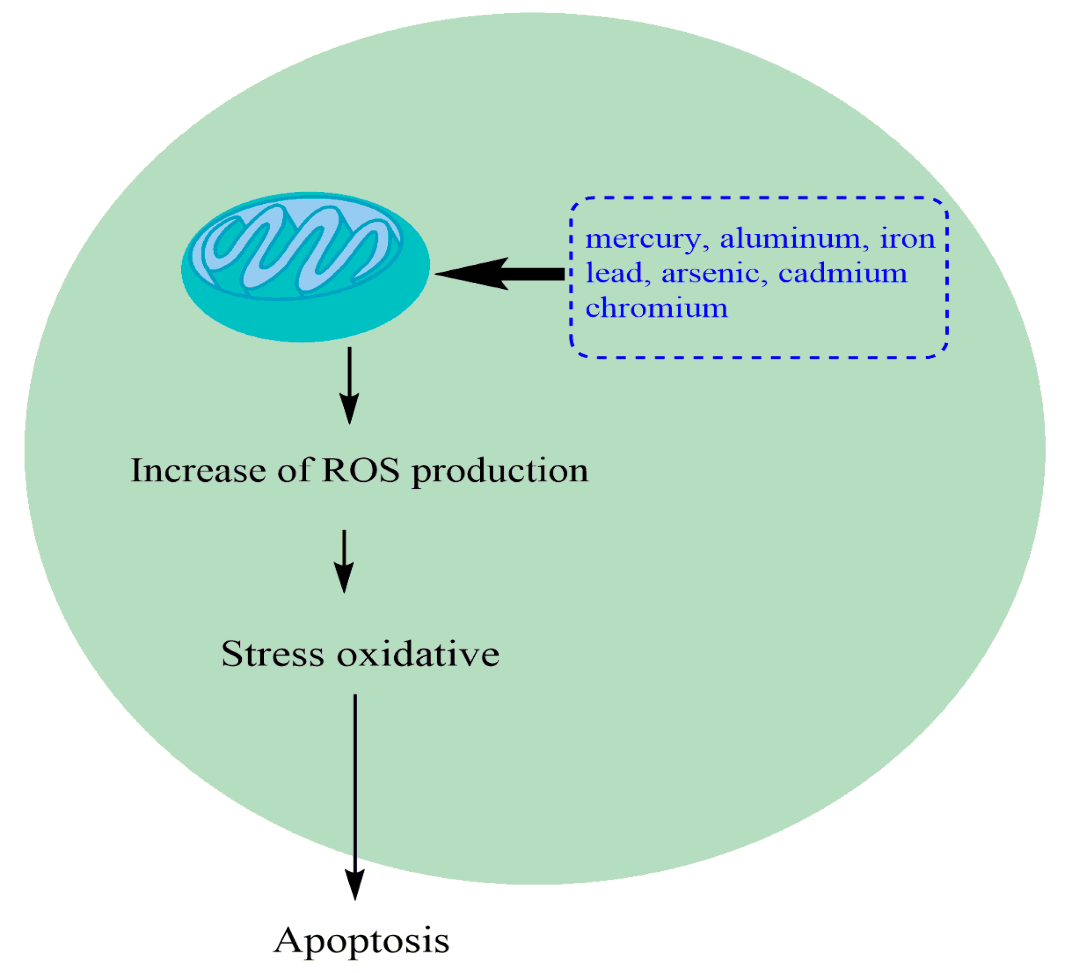 Sustainability 14 00161 g001
