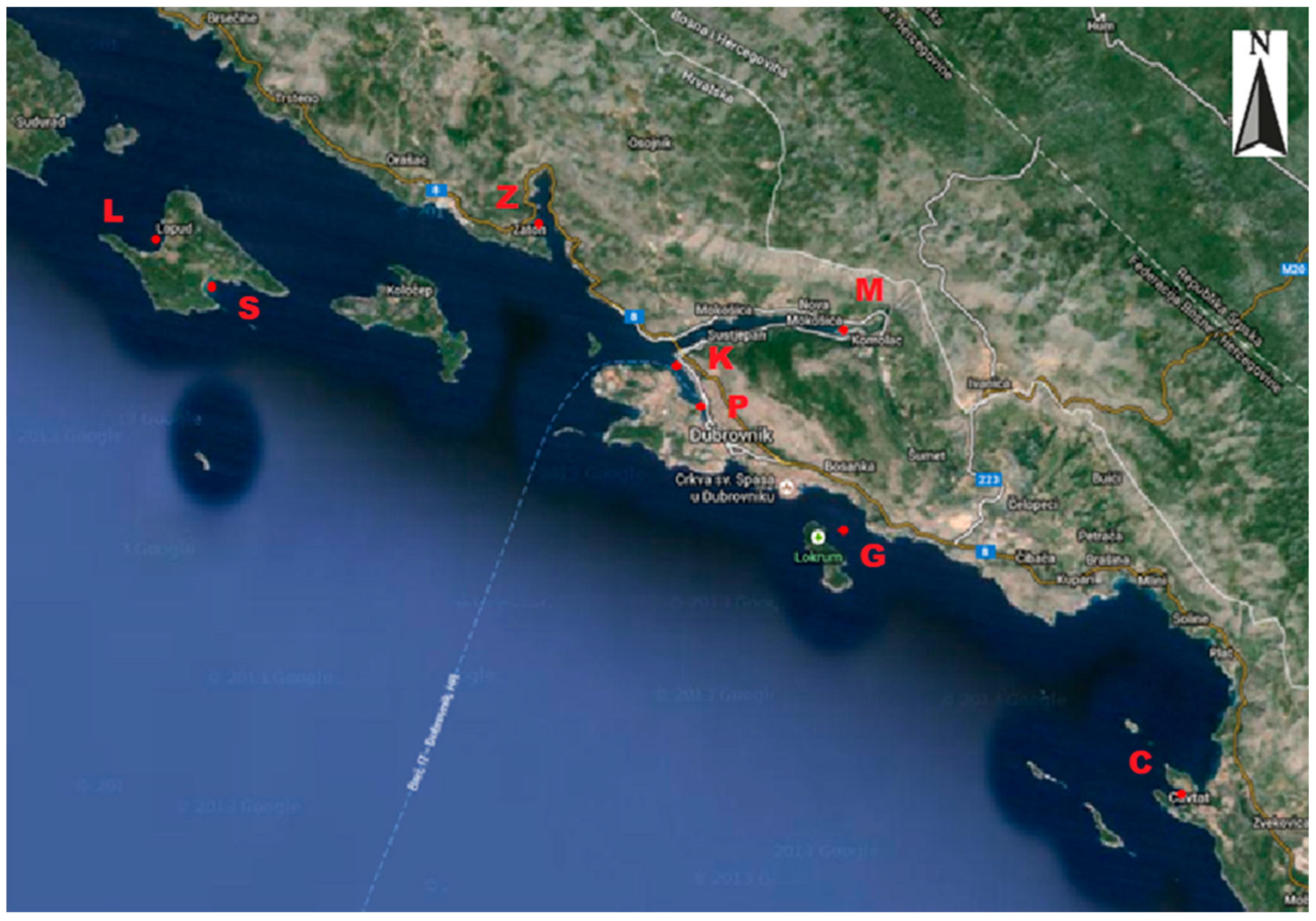 Sustainability 14 00263 g001