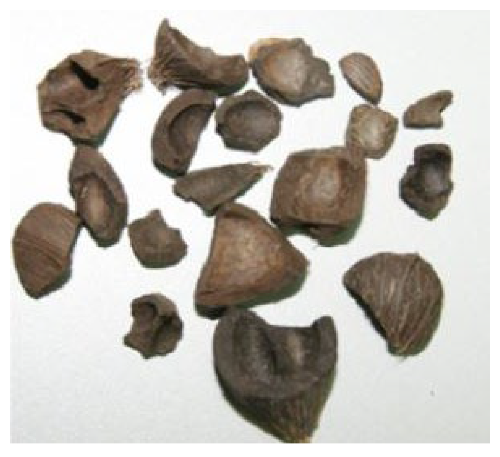 Sustainability 14 00331 g004