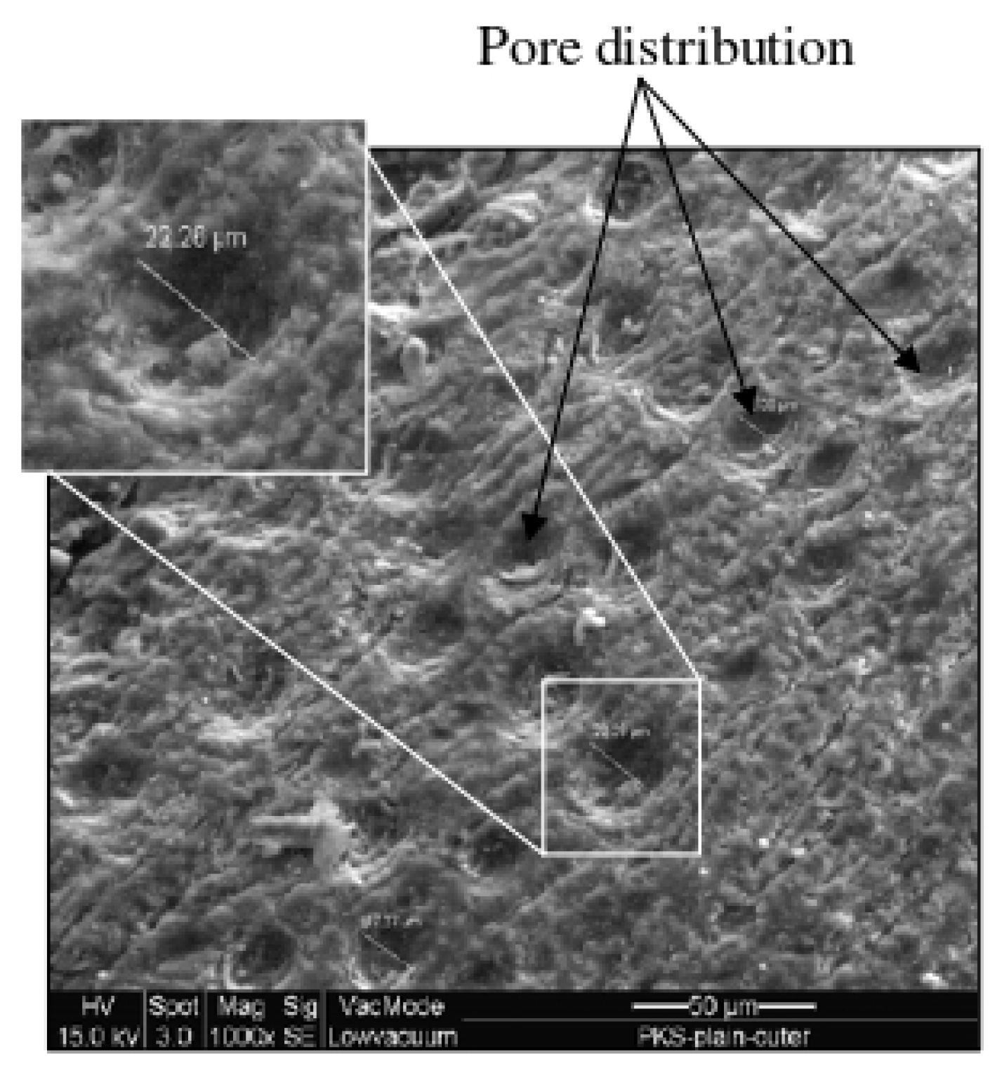 Sustainability 14 00331 g005