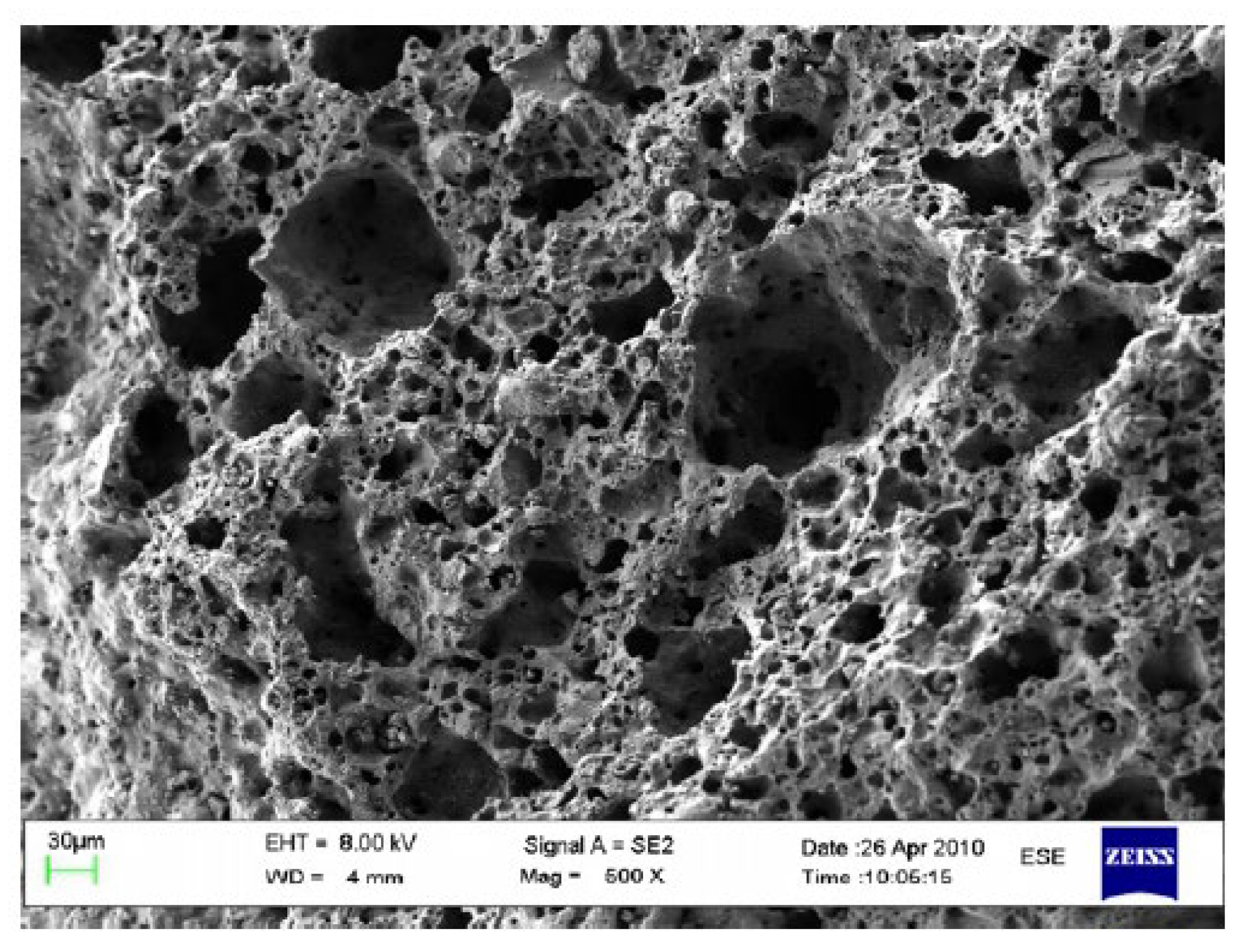 Sustainability 14 00331 g006