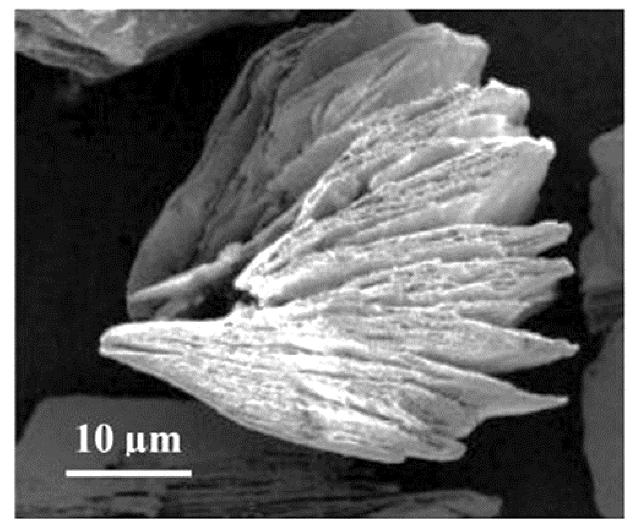 Sustainability 14 00331 g007