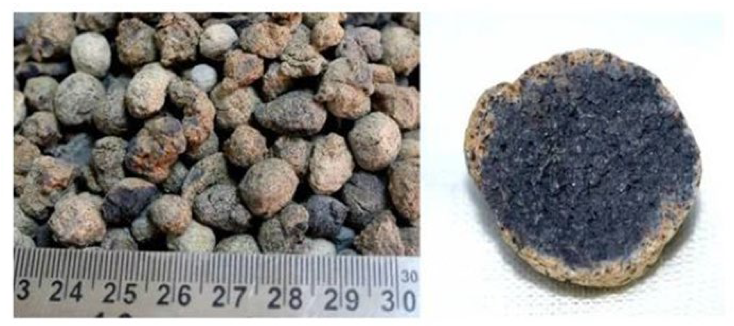 Sustainability 14 00331 g010