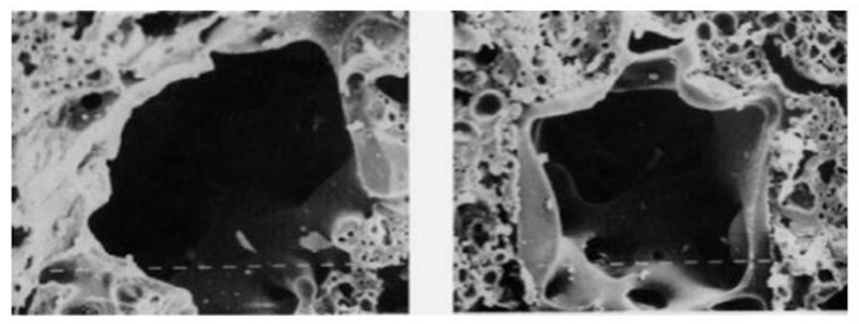 Sustainability 14 00331 g011