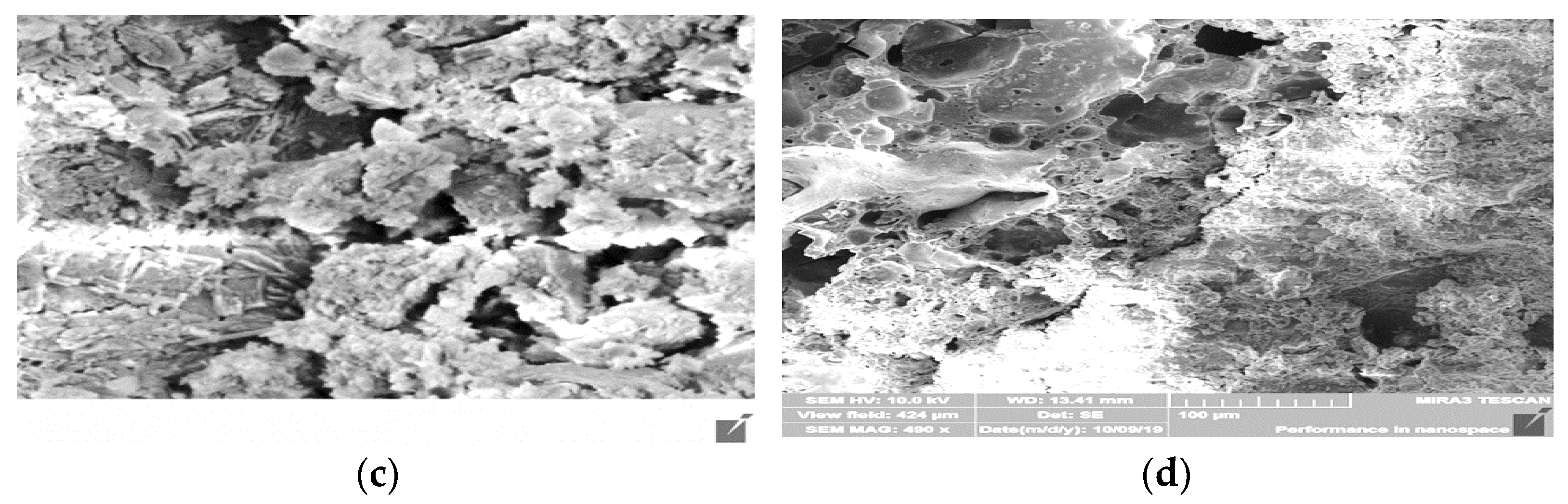 Sustainability 14 00331 g017b