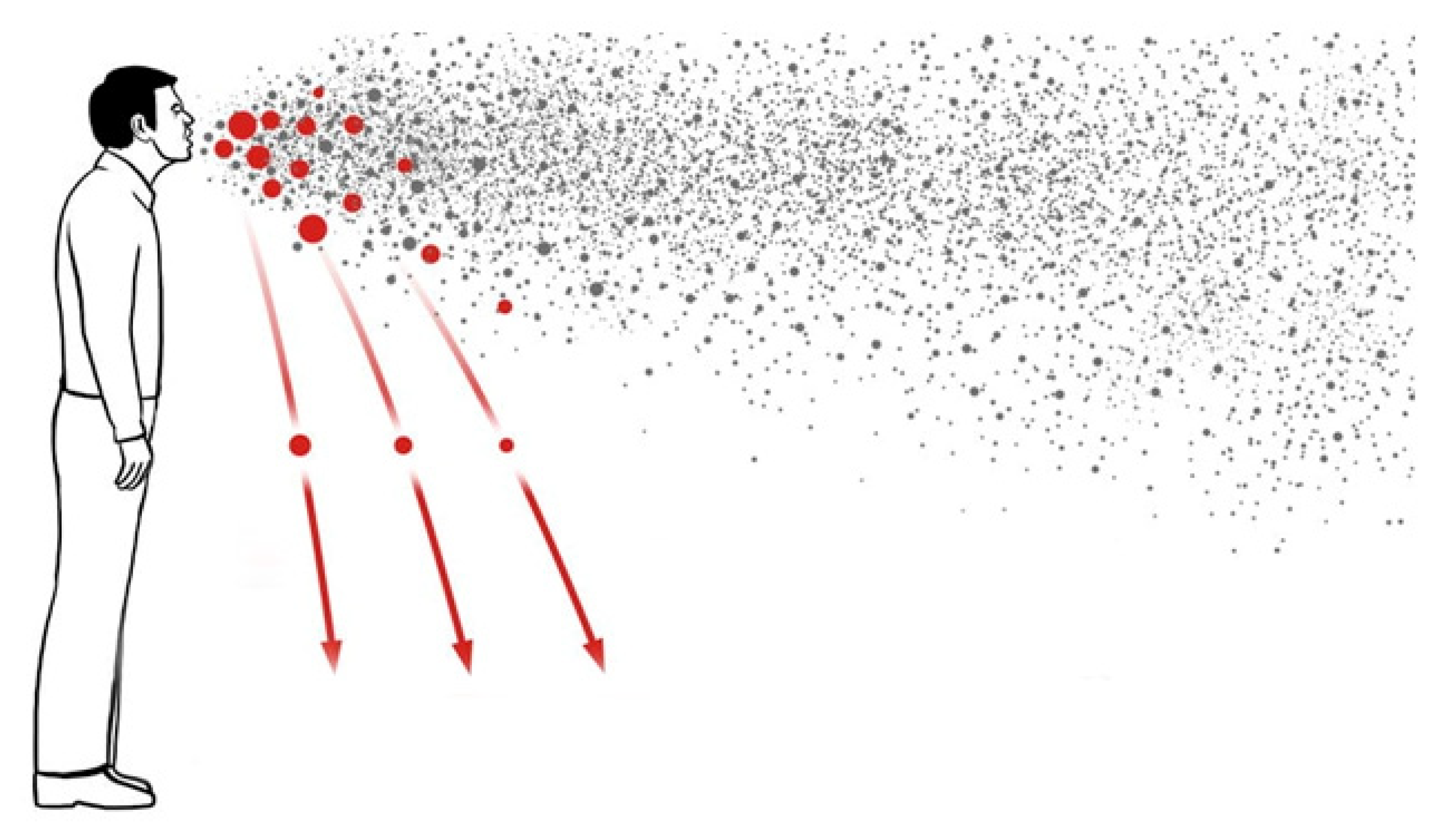 Sustainability 14 00529 g015