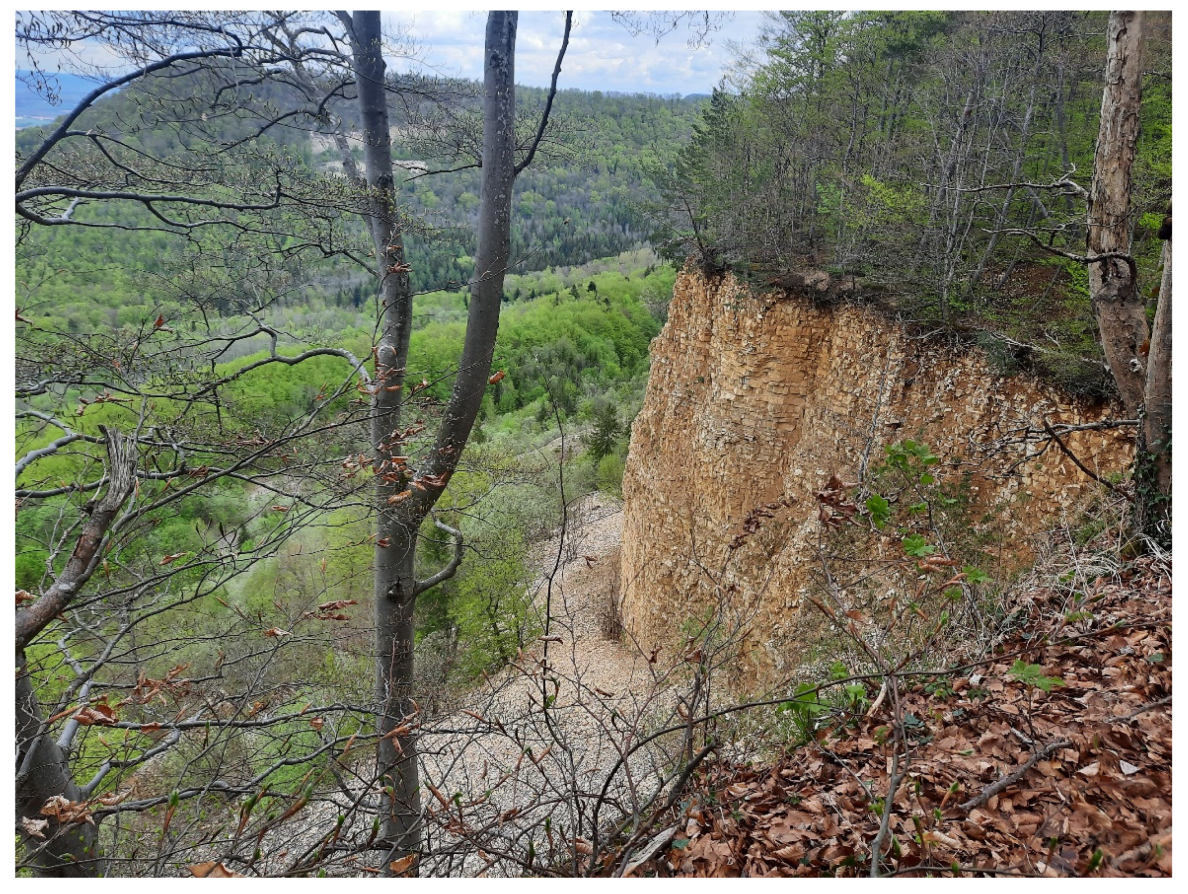 Sustainability 14 00559 g002 Sustainability 14 00559 g002