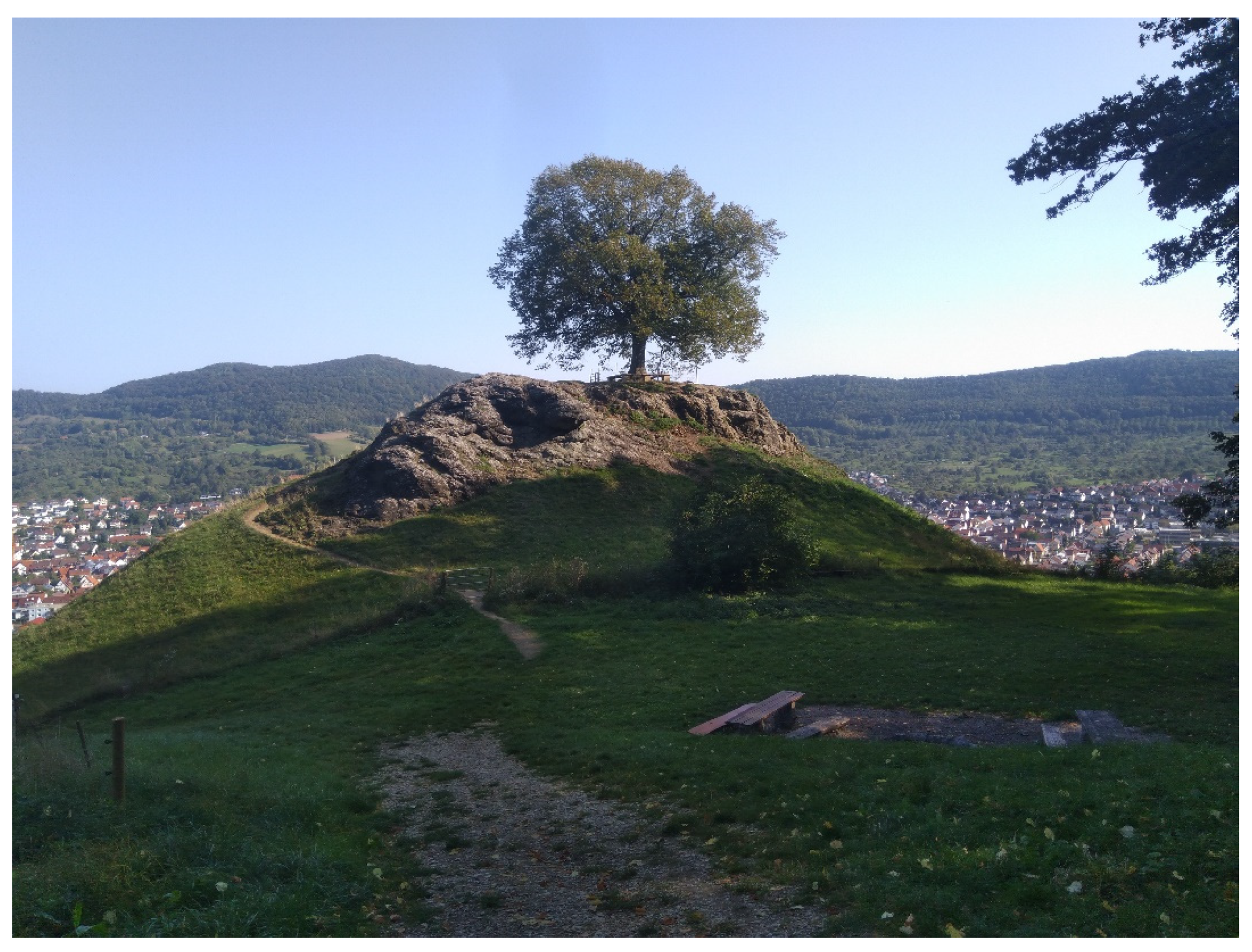 Sustainability 14 00559 g007 Sustainability 14 00559 g007