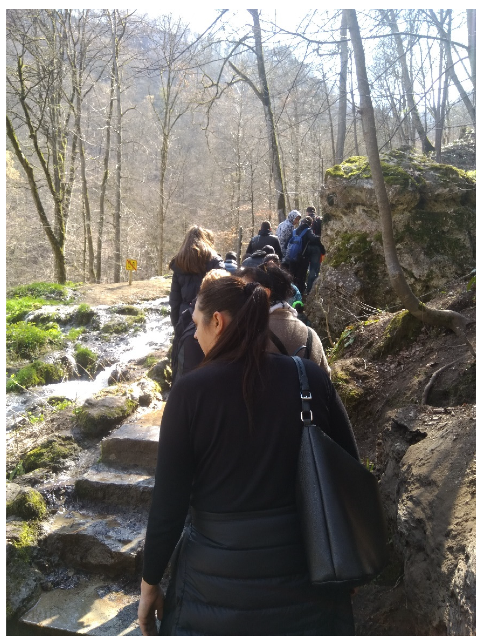 Sustainability 14 00559 g012 Sustainability 14 00559 g012