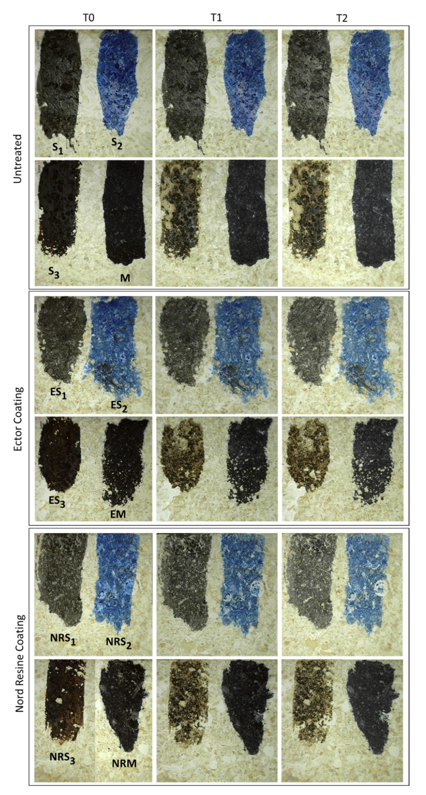 Sustainability 14 00575 g008