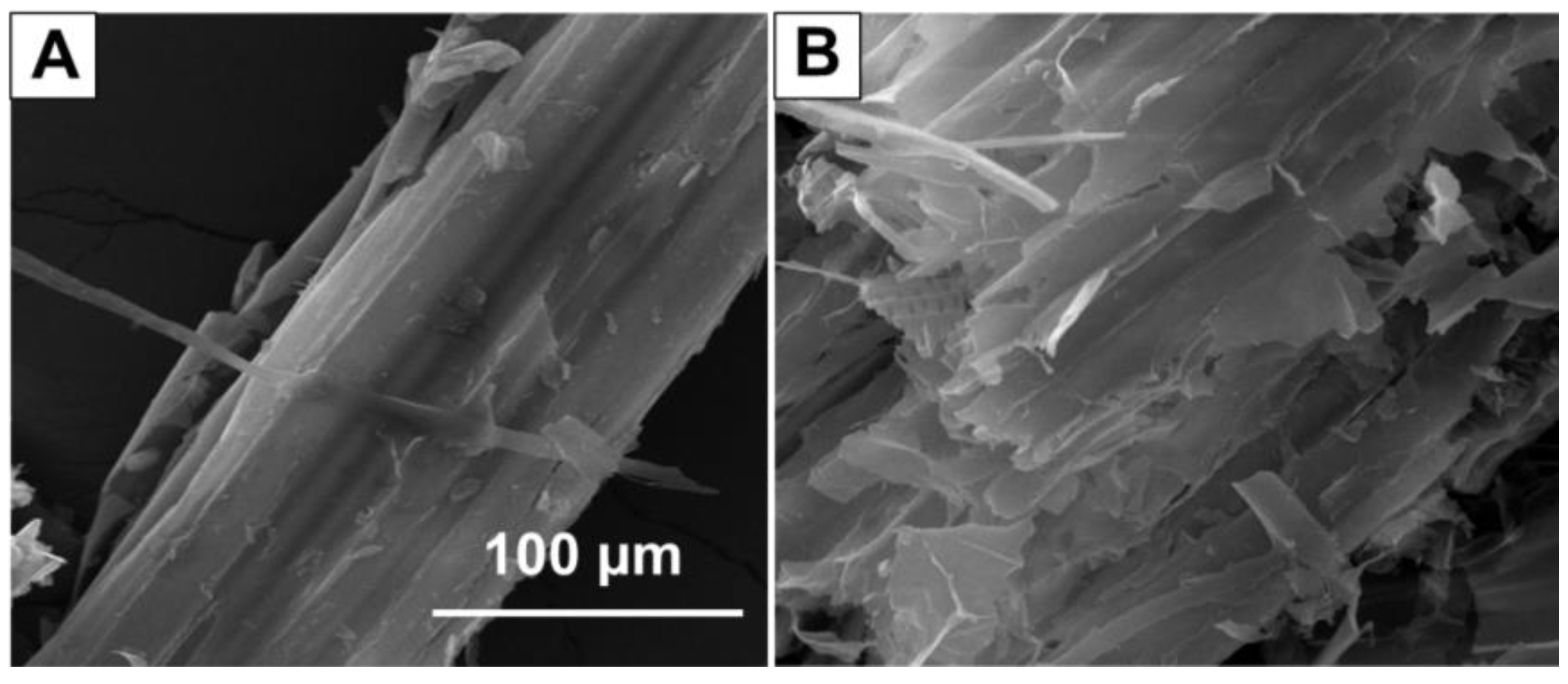 Sustainability 14 00657 g005