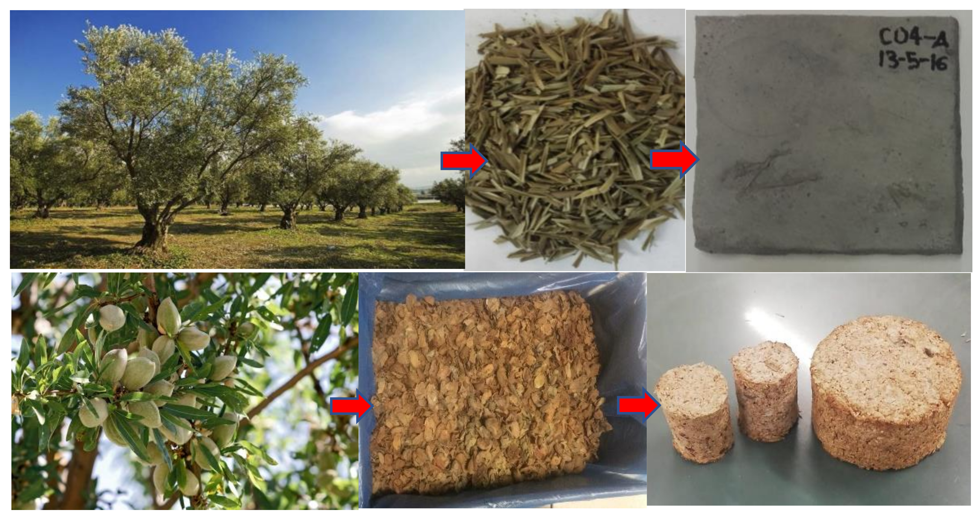 Sustainability 14 00670 g002b