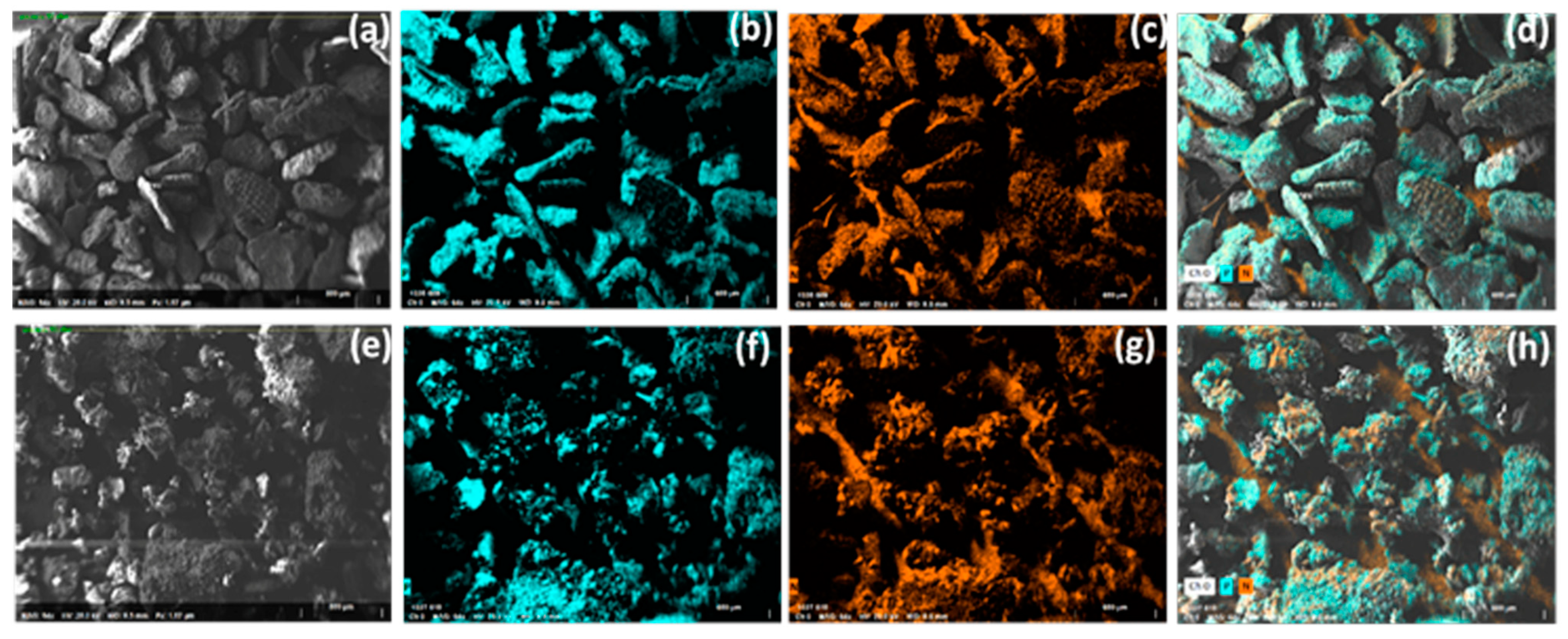 Sustainability 14 00686 g002