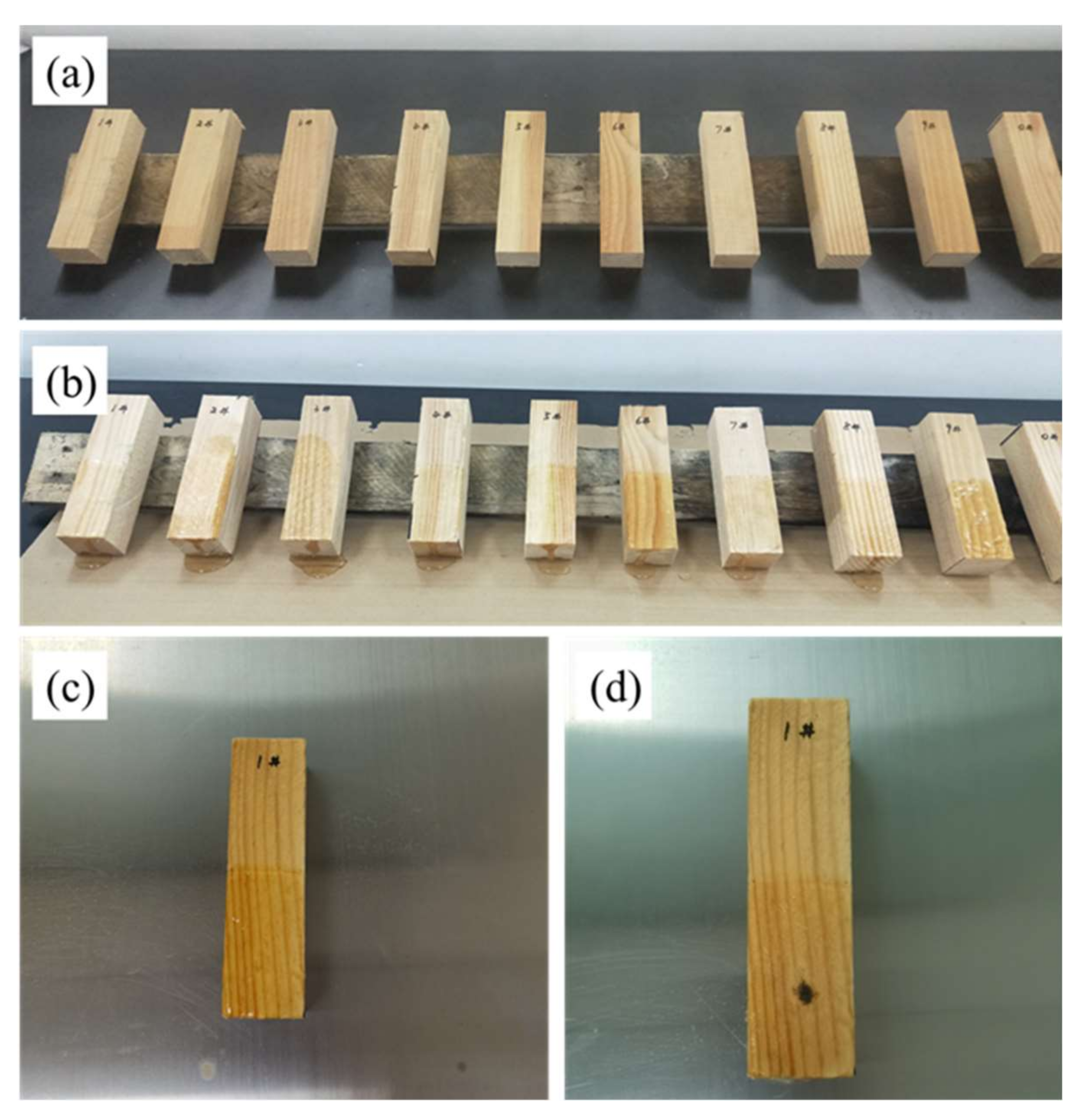 Sustainability 14 00752 g005