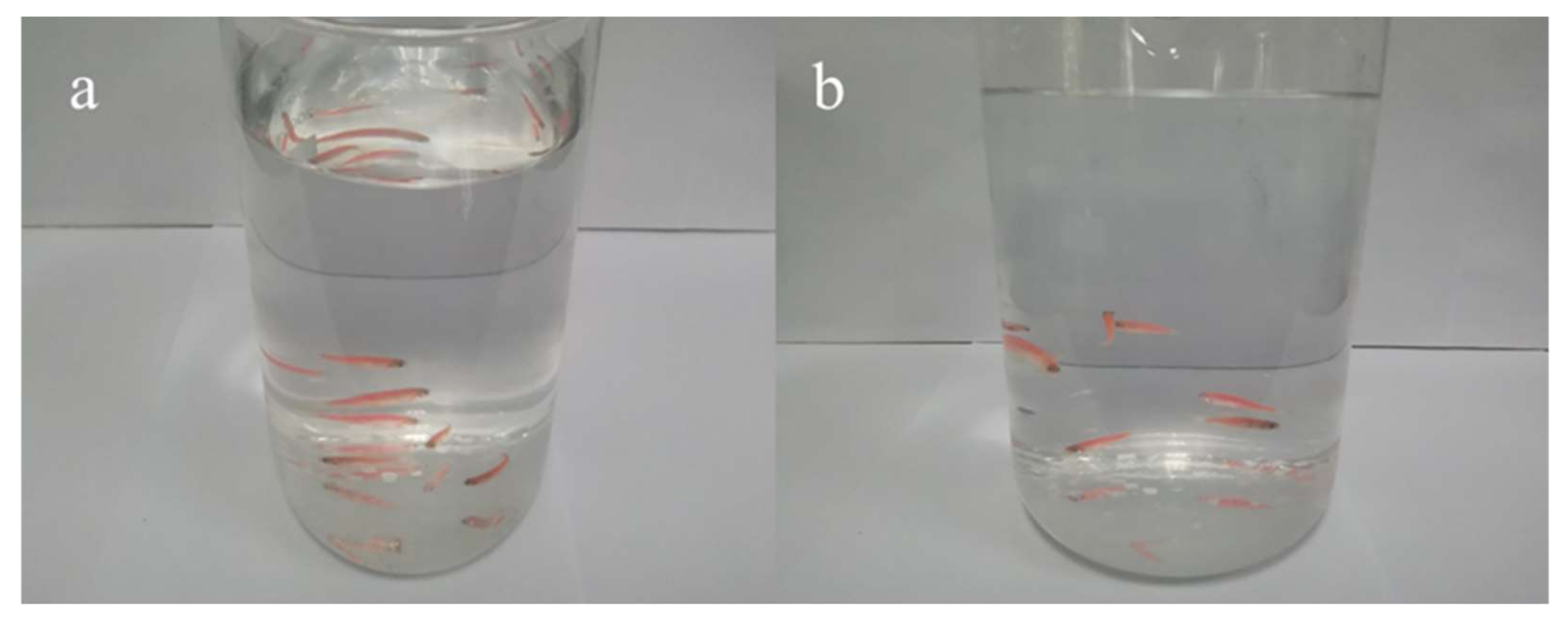 Sustainability 14 00752 g008