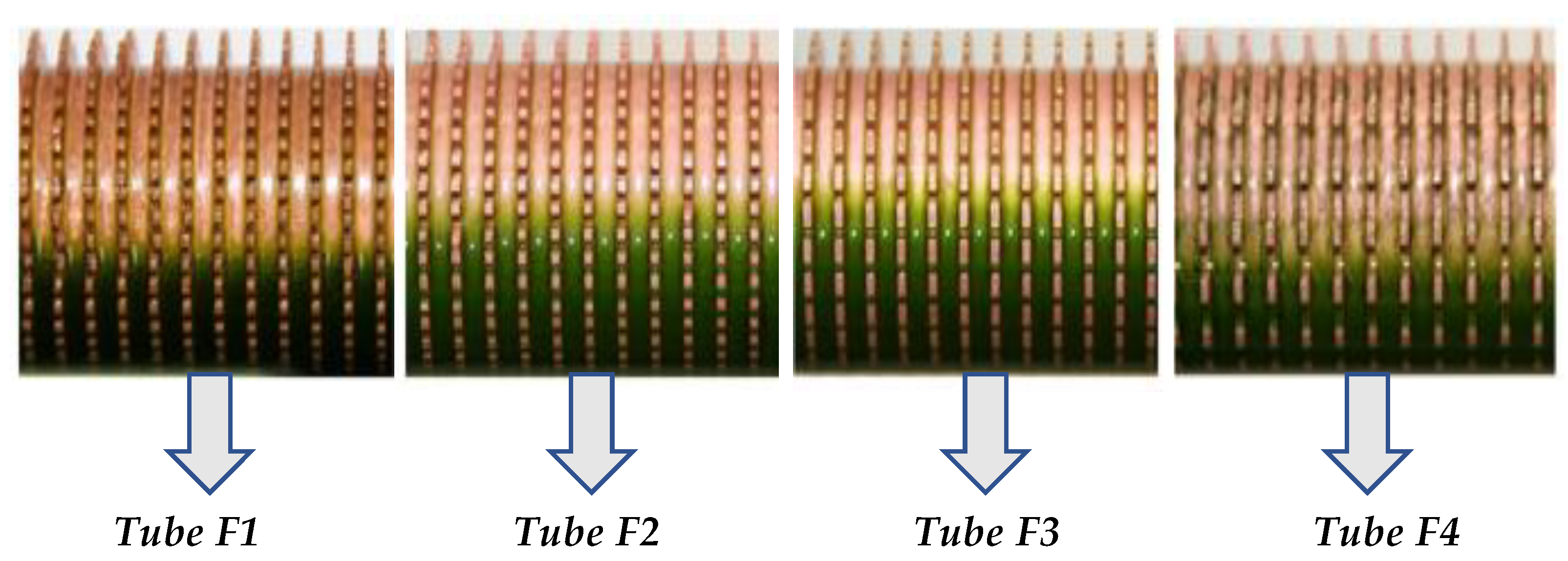 Sustainability 14 00835 g003