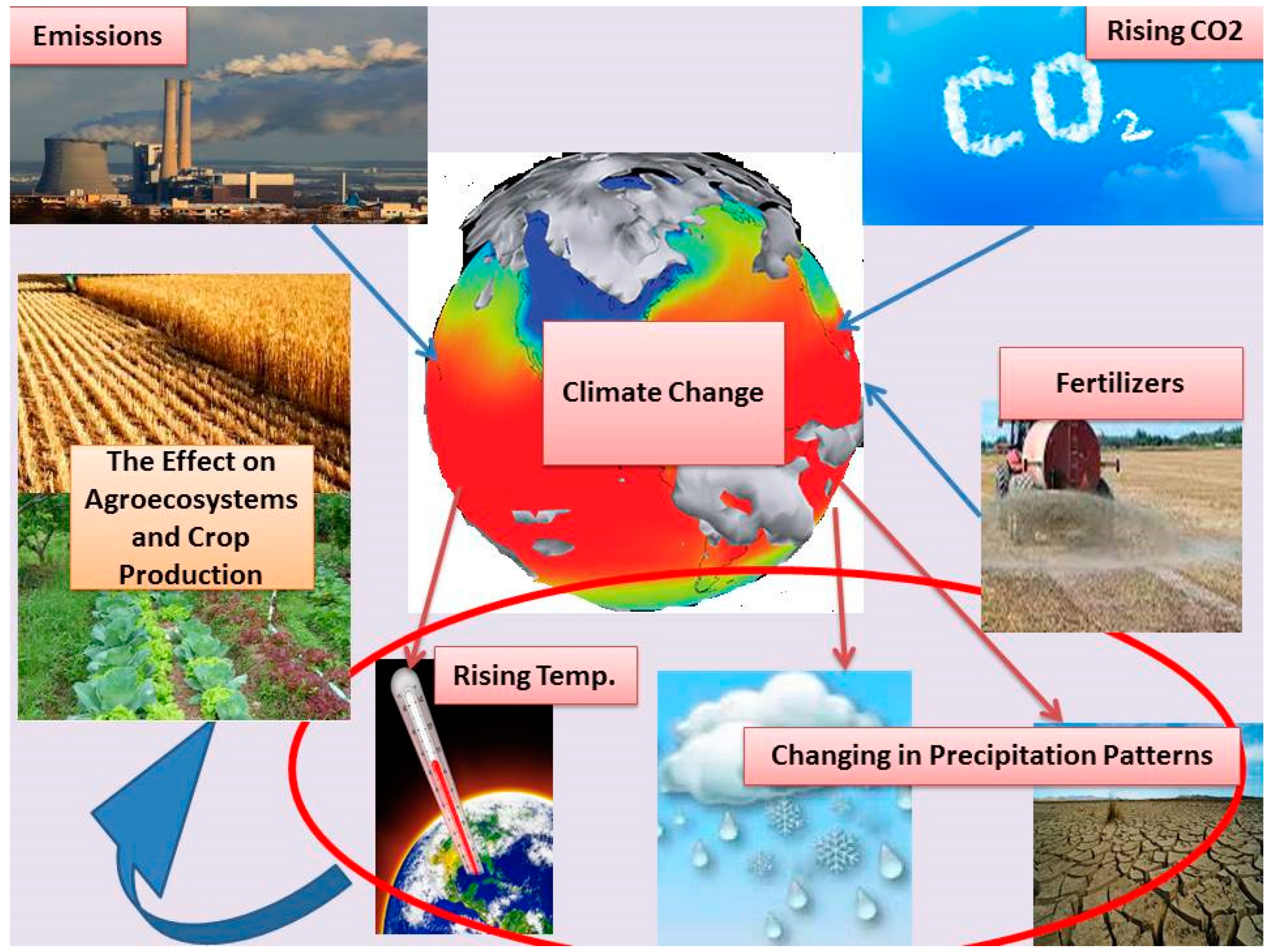 Sustainability 14 00914 g001