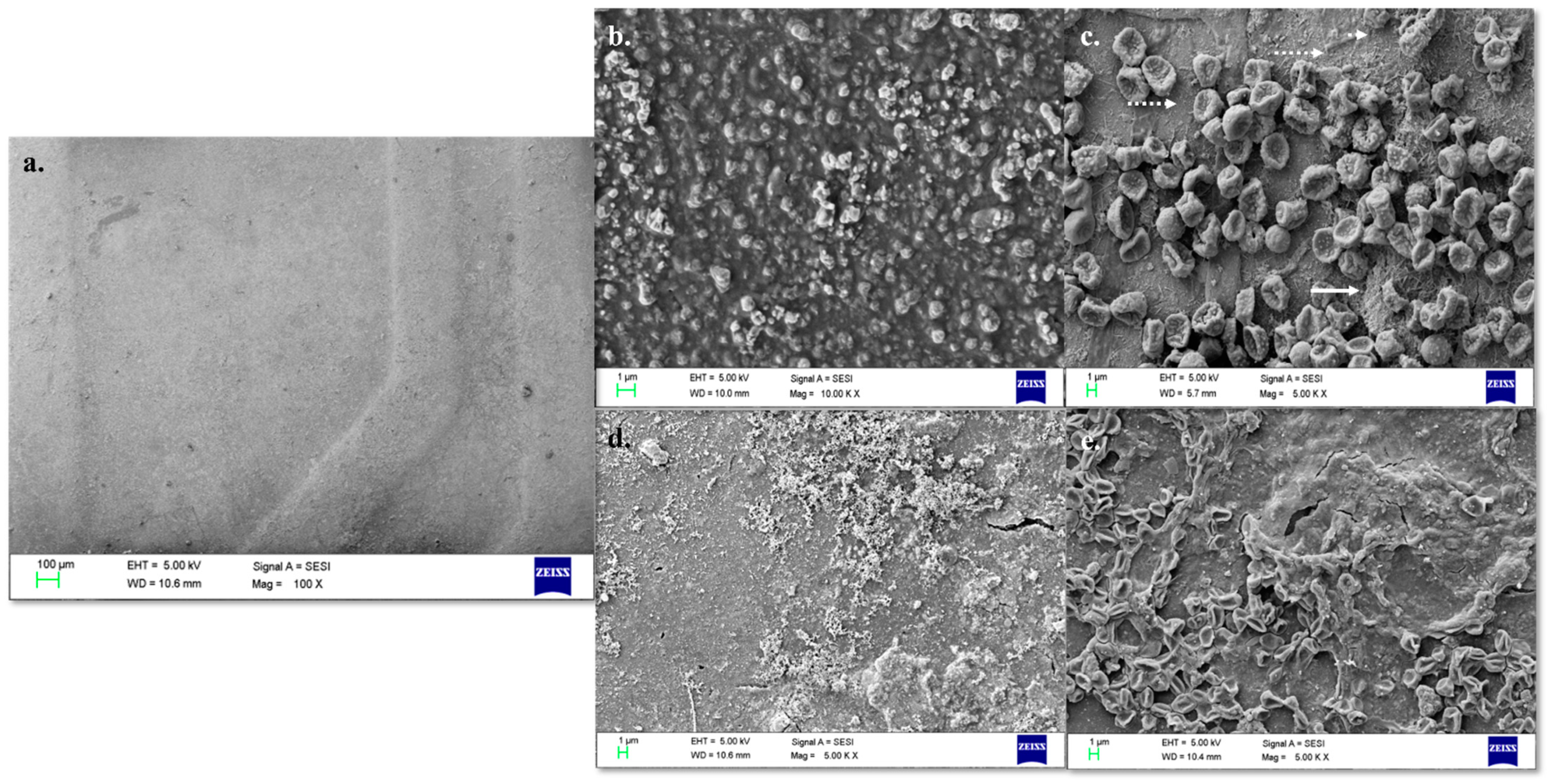 Sustainability 14 00935 g002