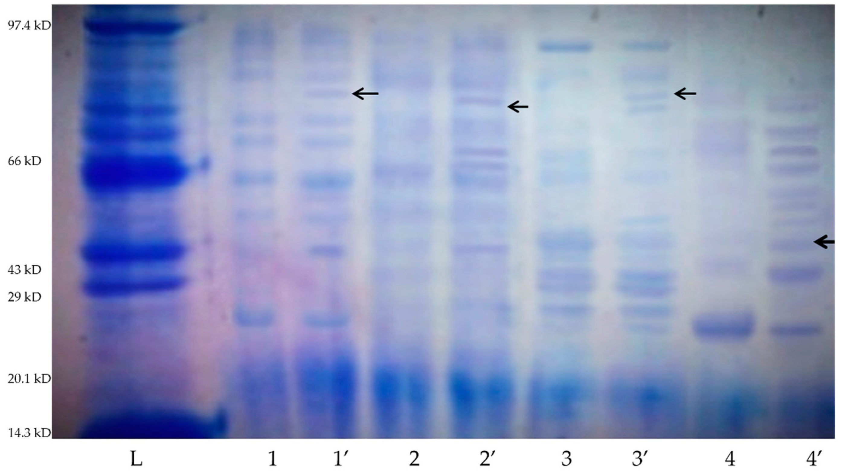 Sustainability 14 00935 g004