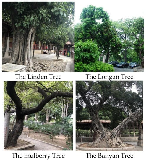 Sustainability 14 00991 g0a2 550