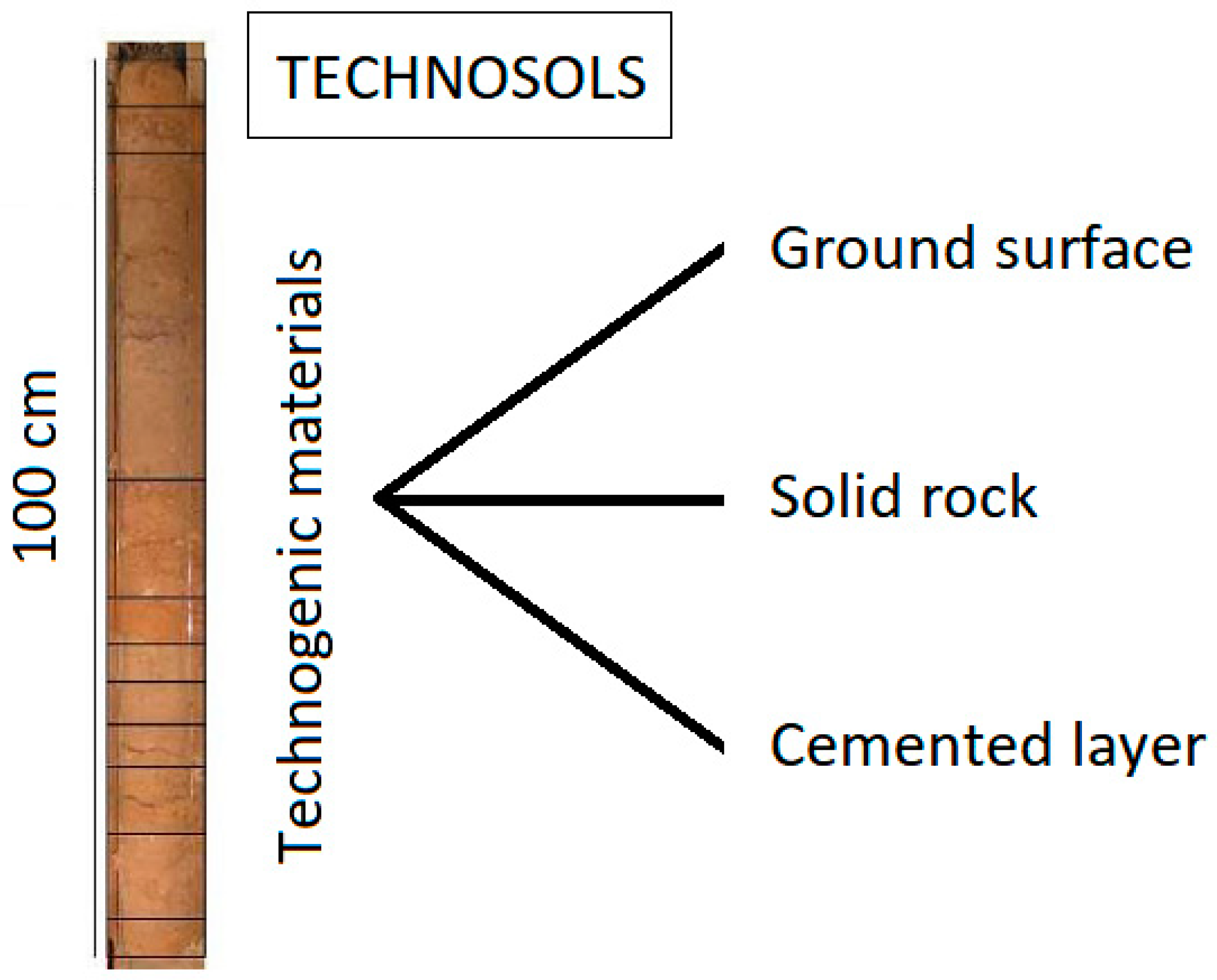 Sustainability 14 00993 g001
