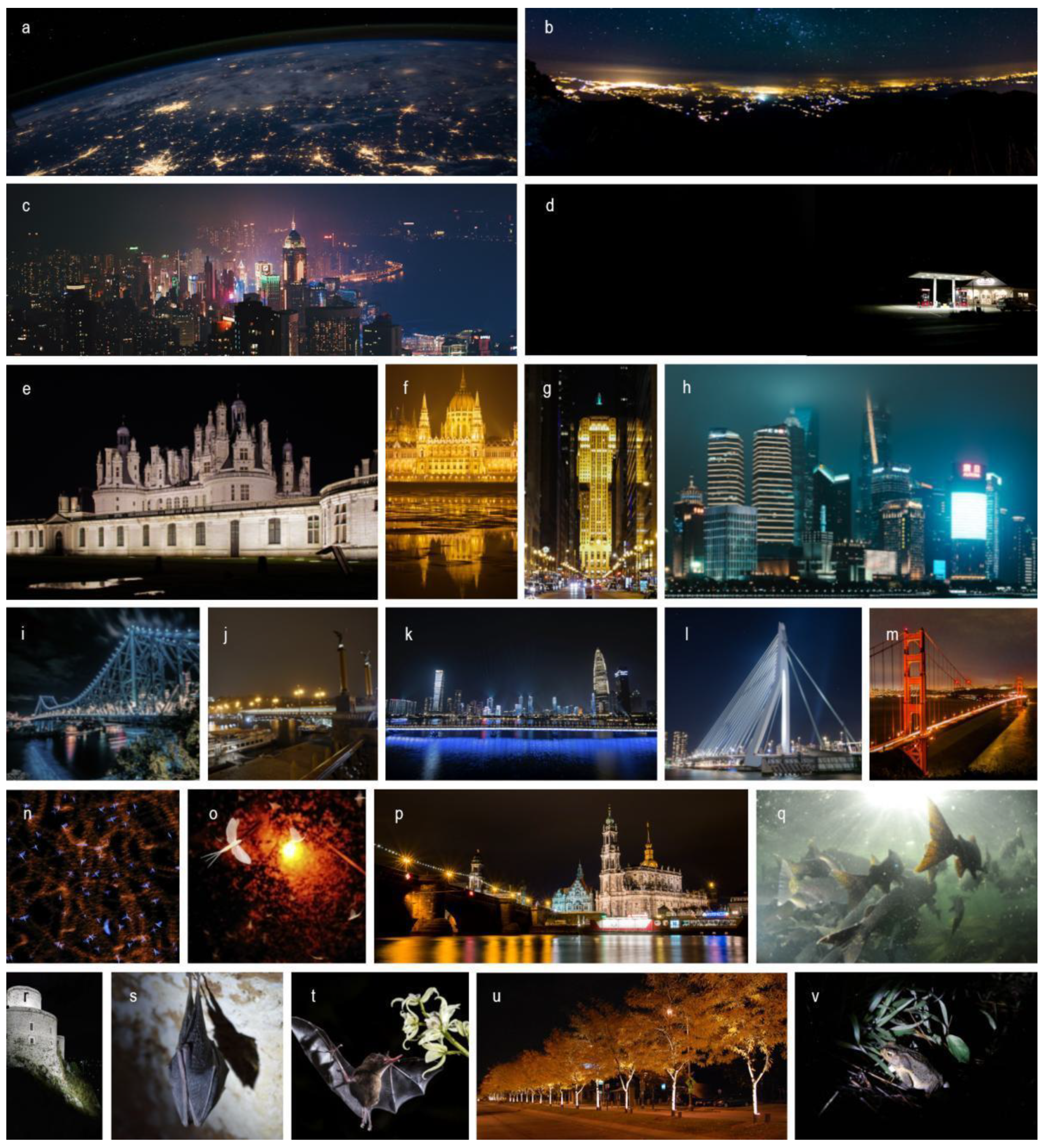 Sustainability 14 01107 g002