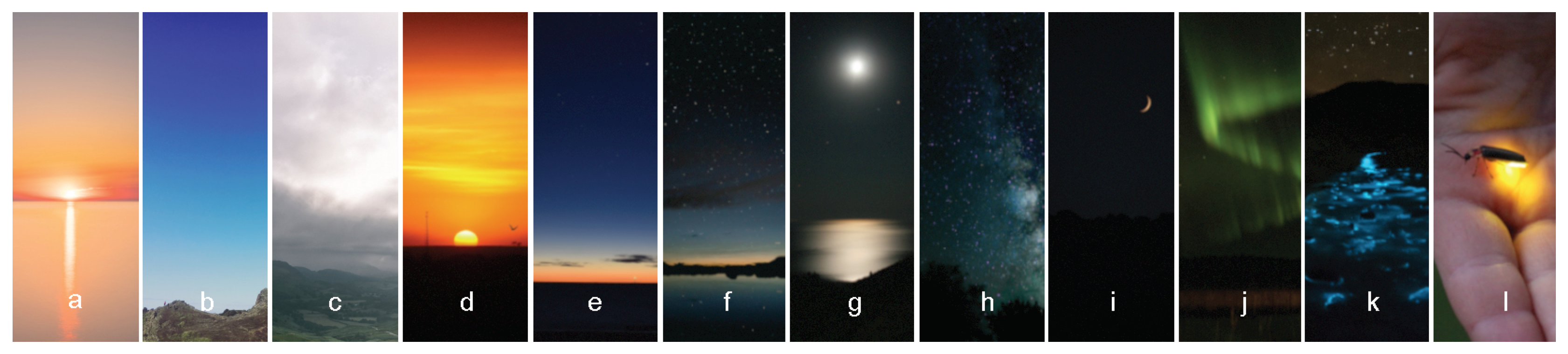 Sustainability 14 01107 g0a1