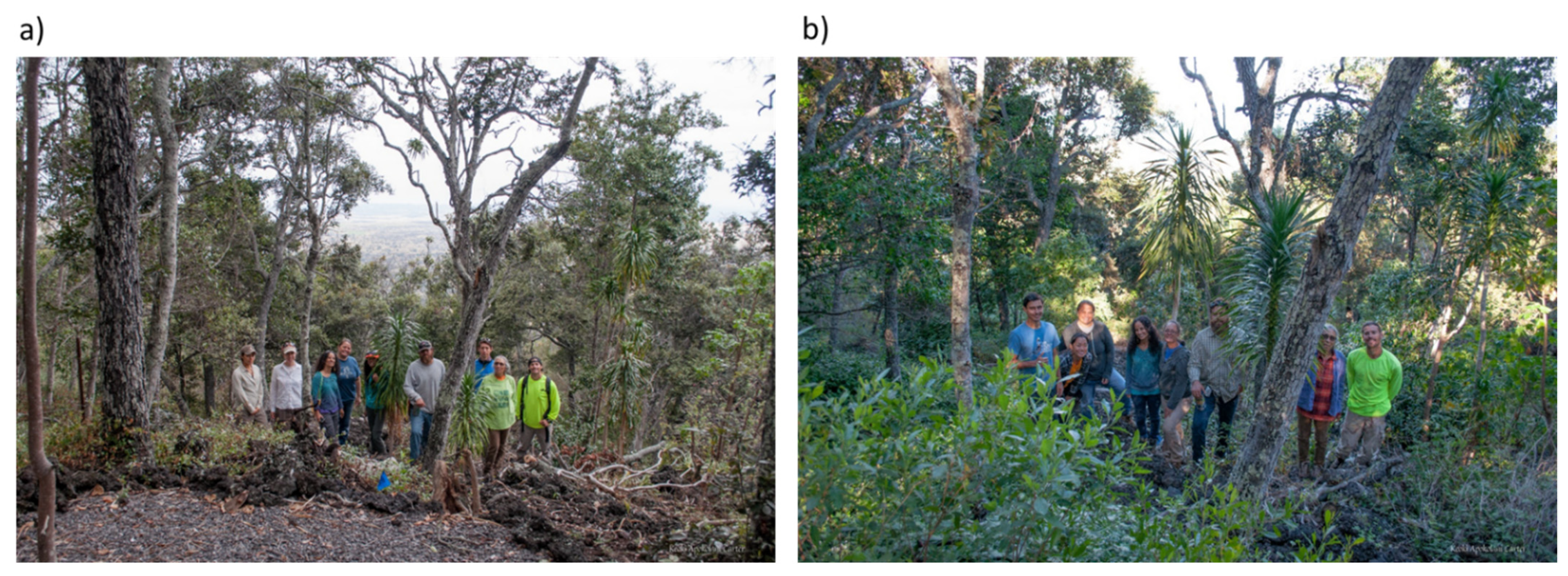 Sustainability 14 01159 g003