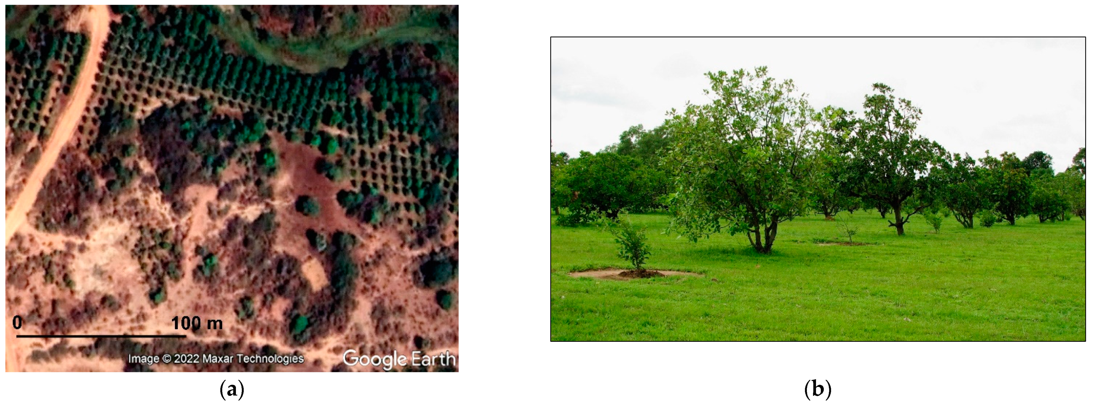 Sustainability 14 01160 g005a Sustainability 14 01160 g005a