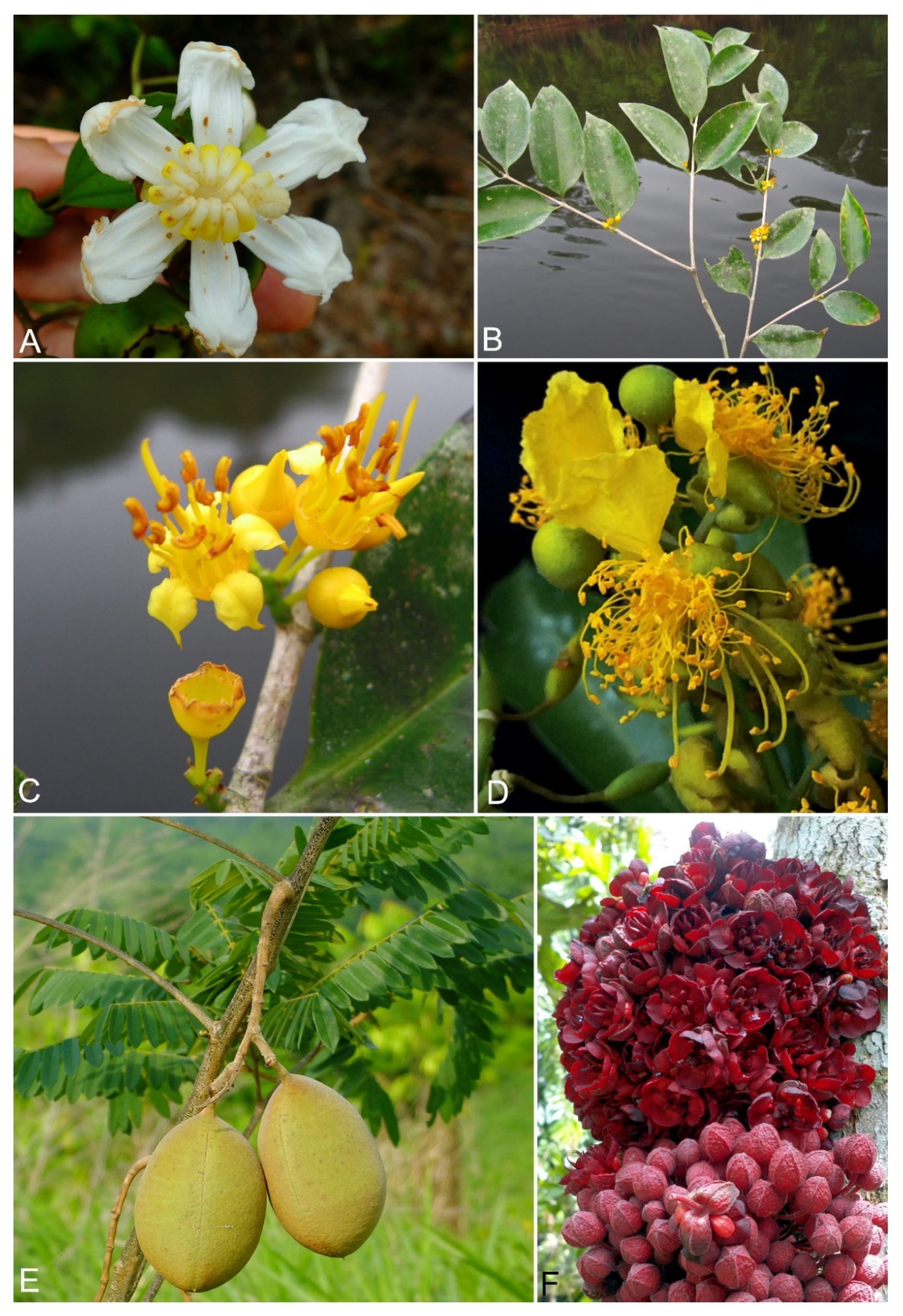 Sustainability 14 01321 g003