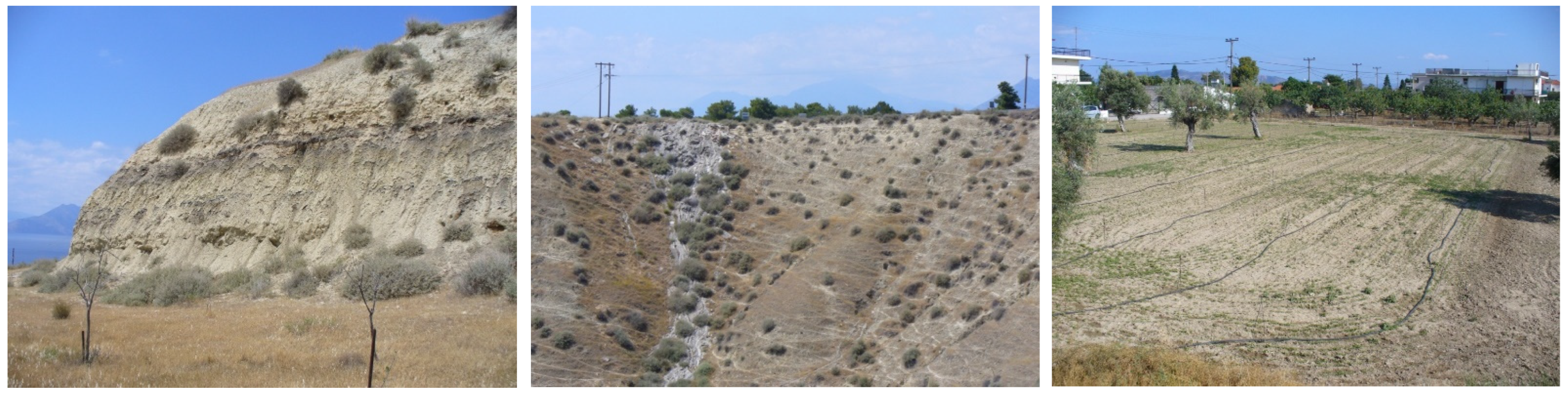 Sustainability 14 01426 g003