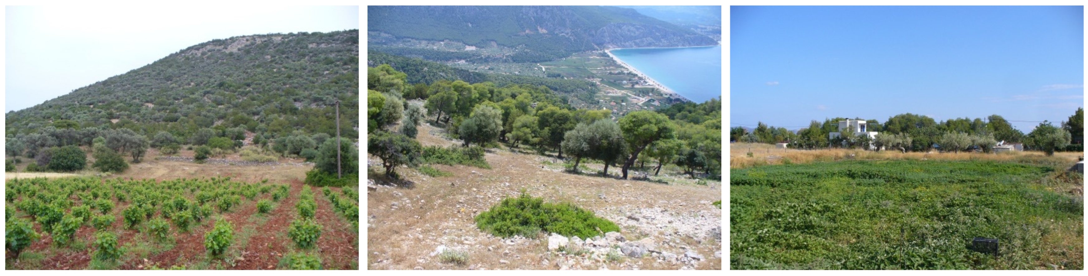 Sustainability 14 01426 g007