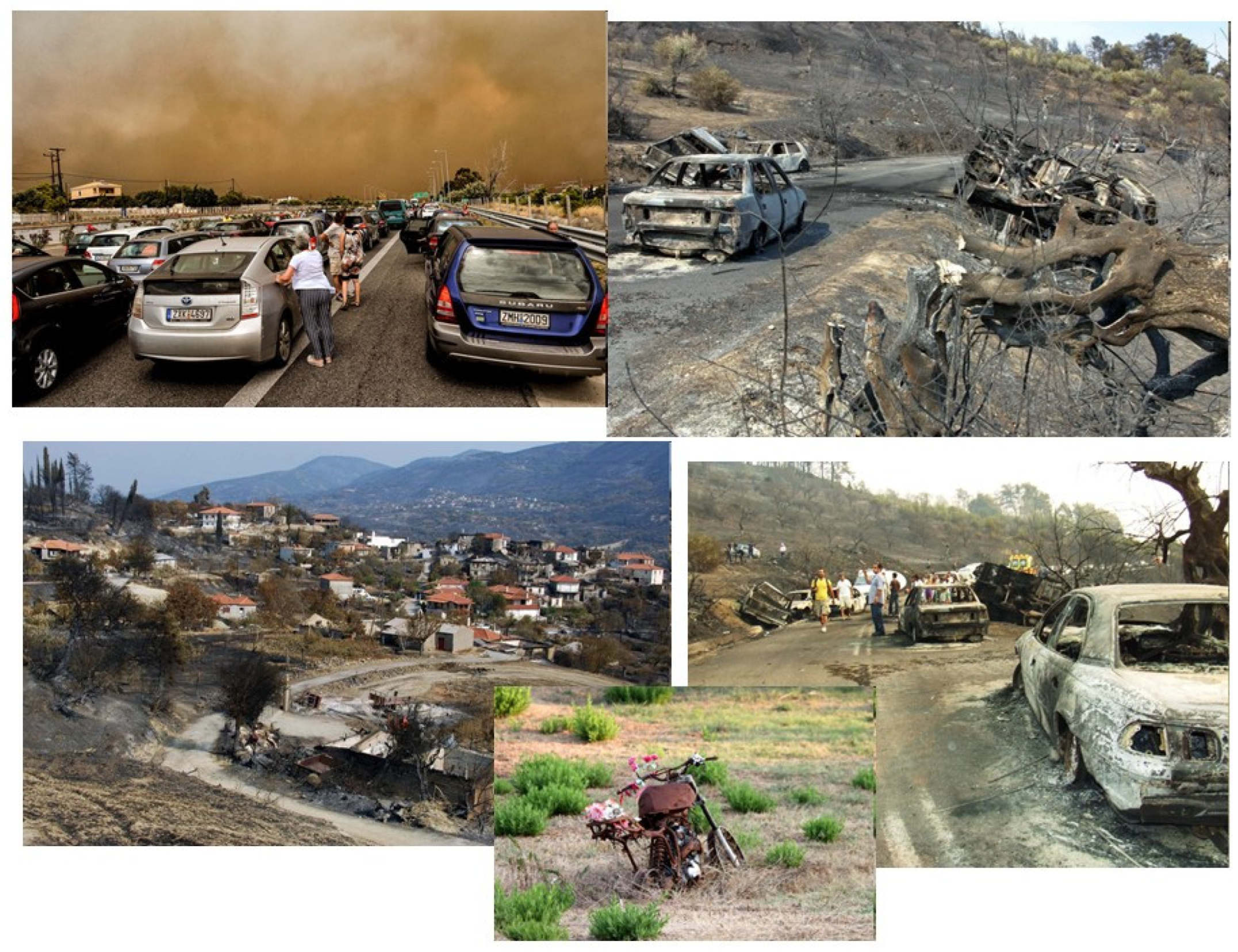 Sustainability 14 01426 g008