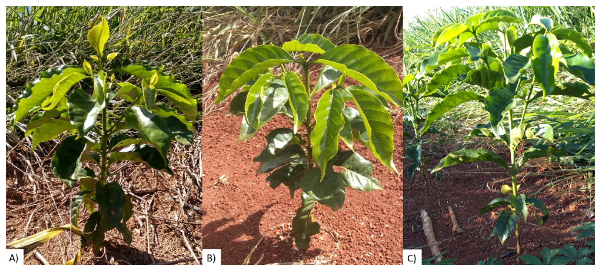 Sustainability 14 01446 g002