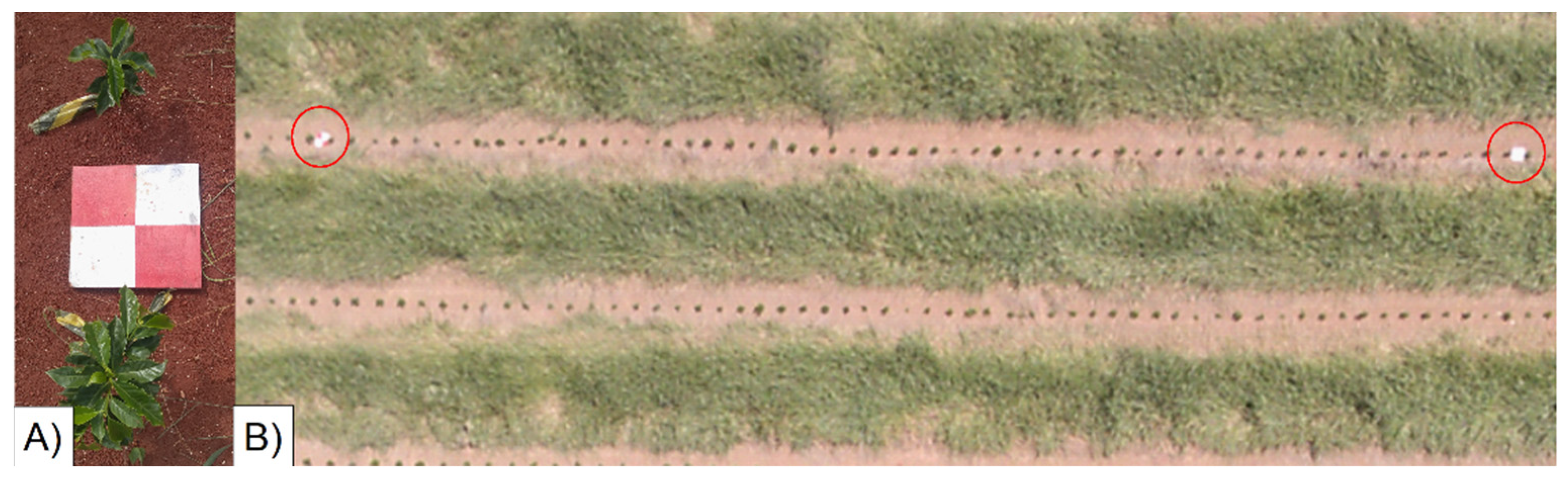 Sustainability 14 01446 g006