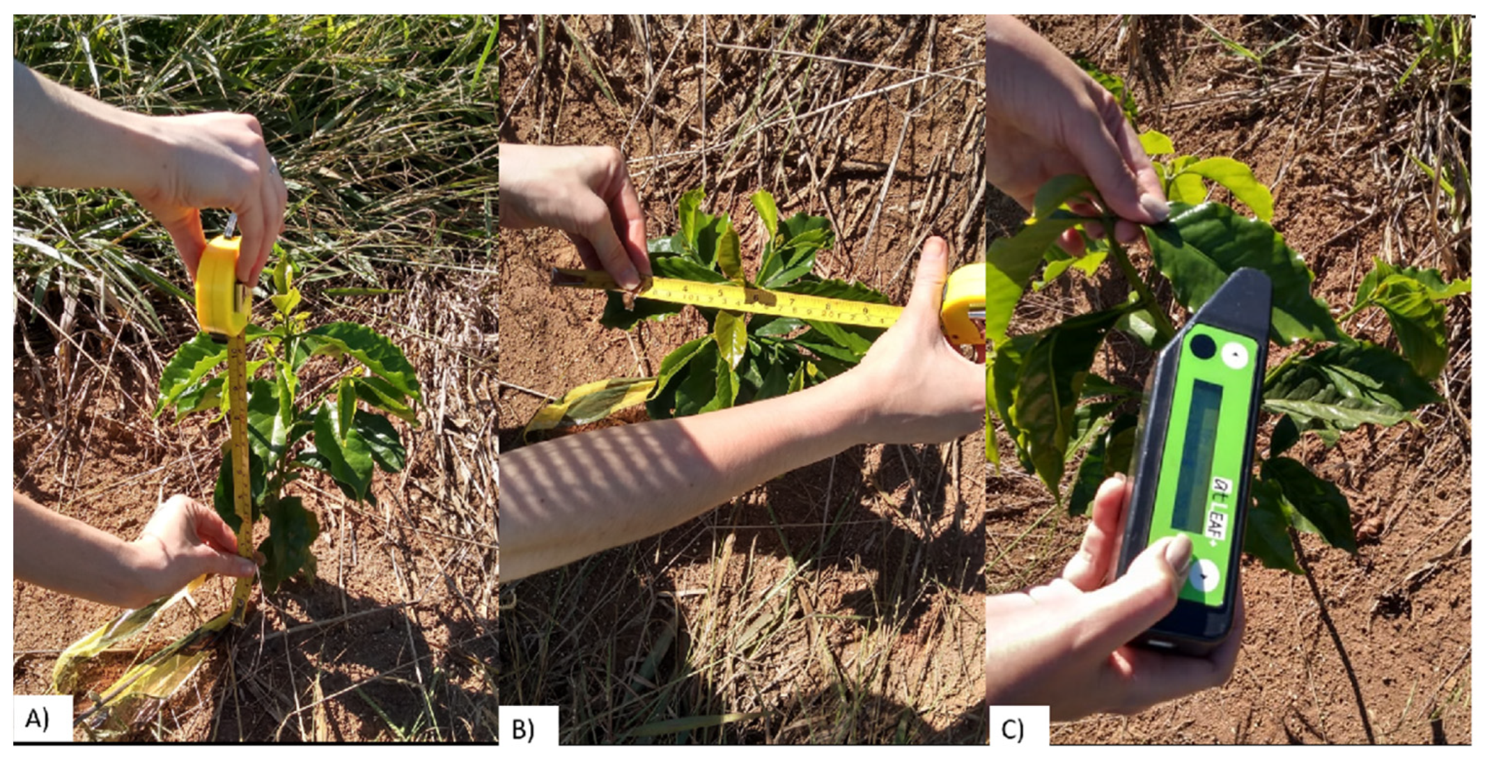 Sustainability 14 01446 g008