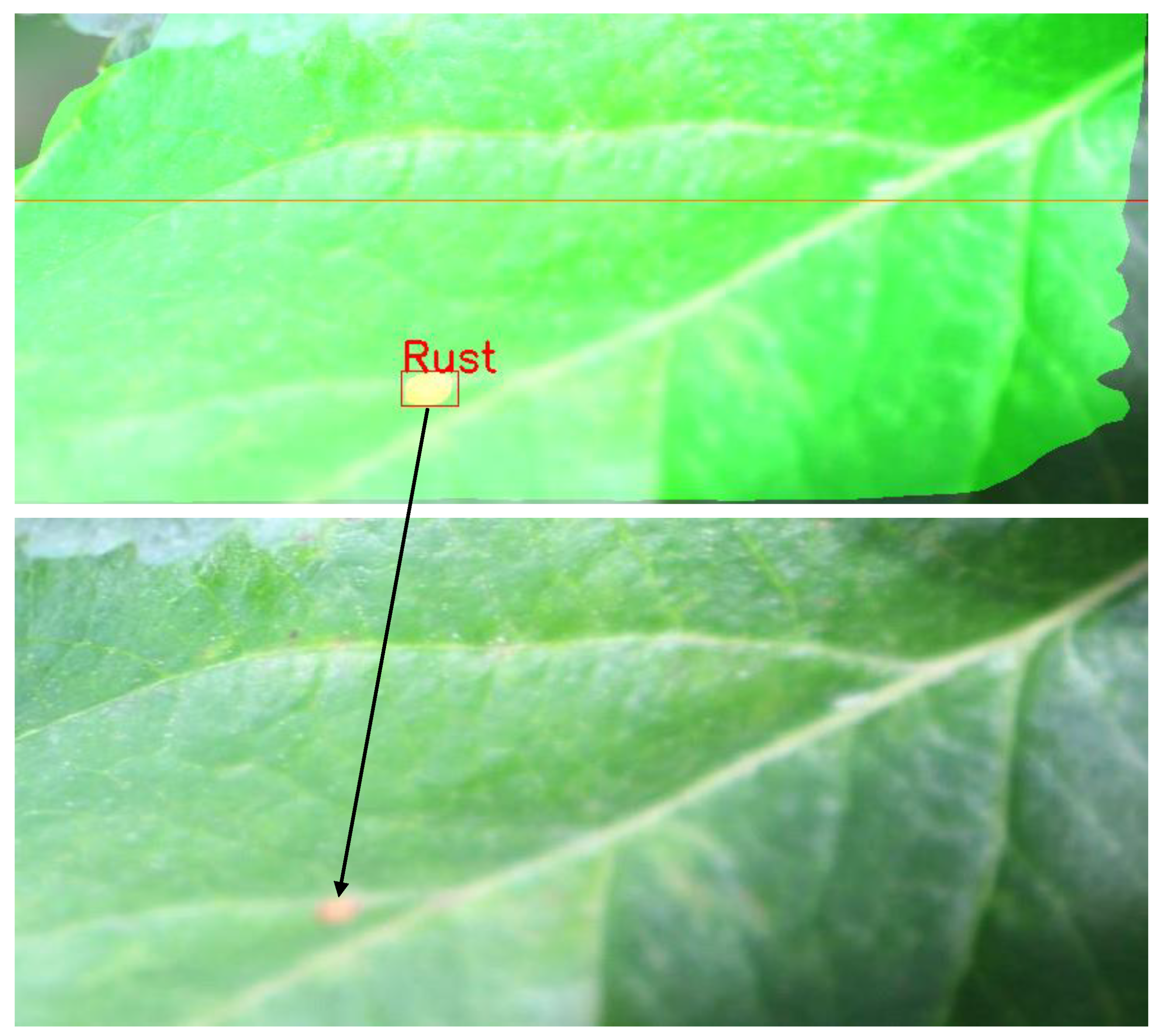 Sustainability 14 01458 g006