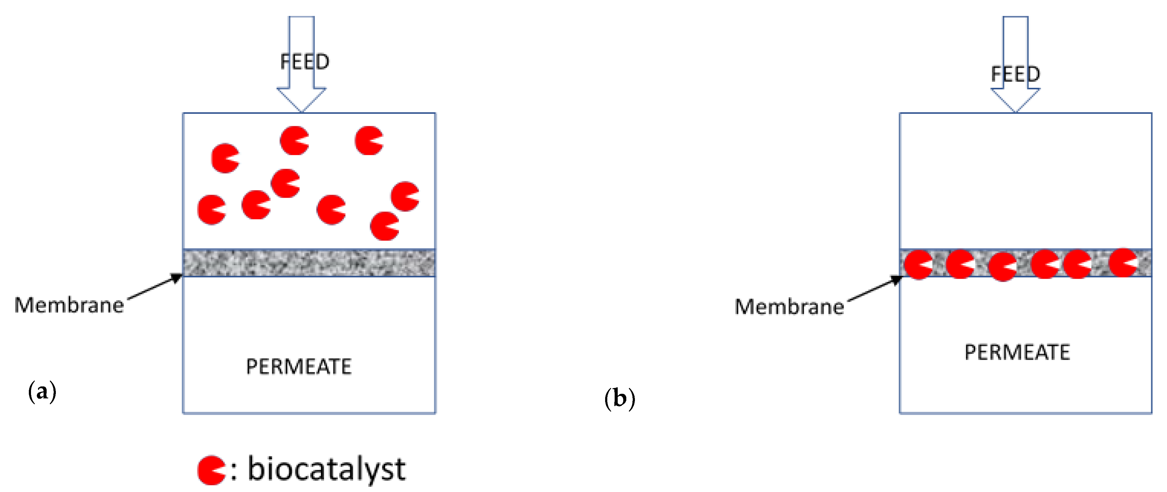 Sustainability 14 01483 g002