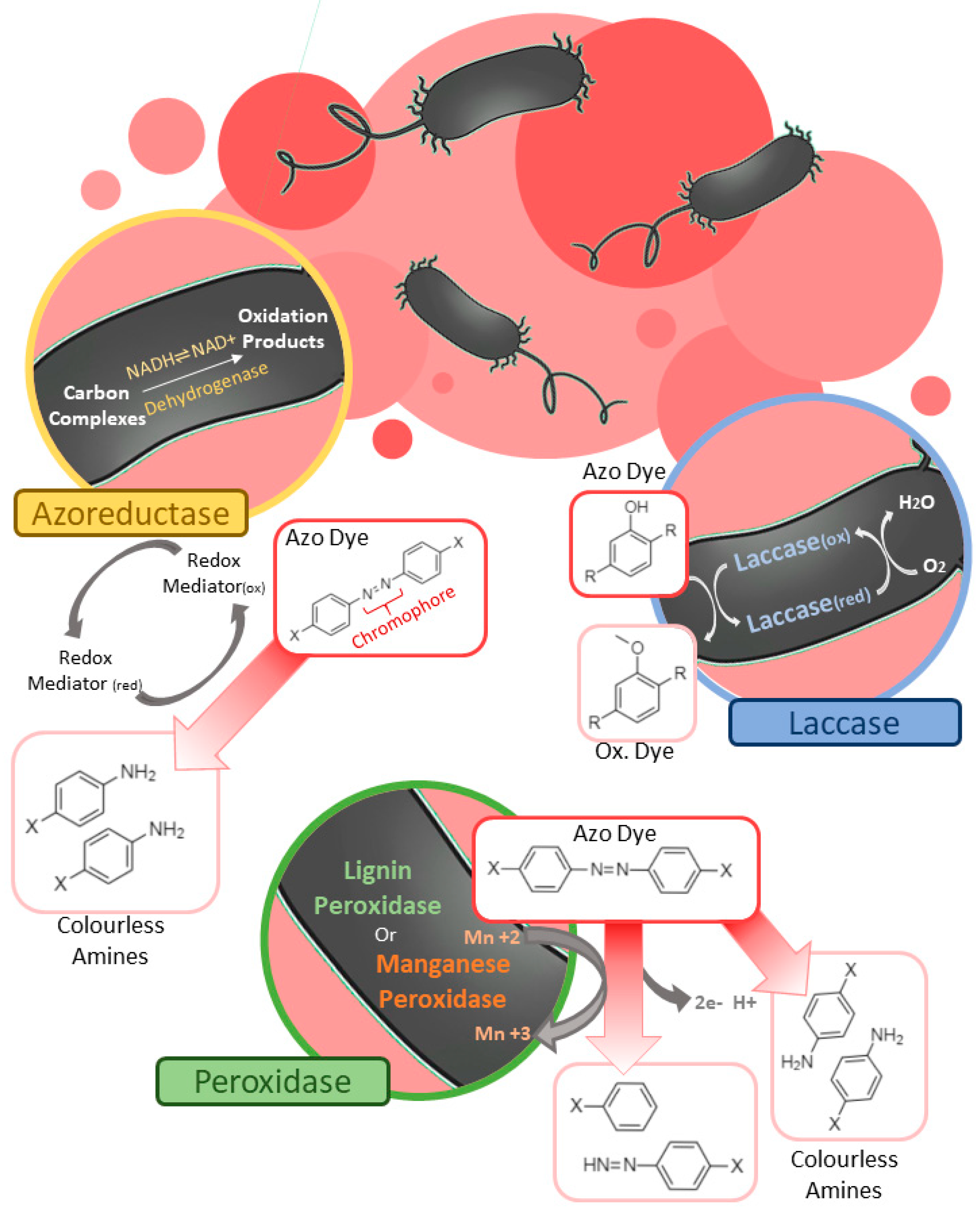 Sustainability 14 01510 g001