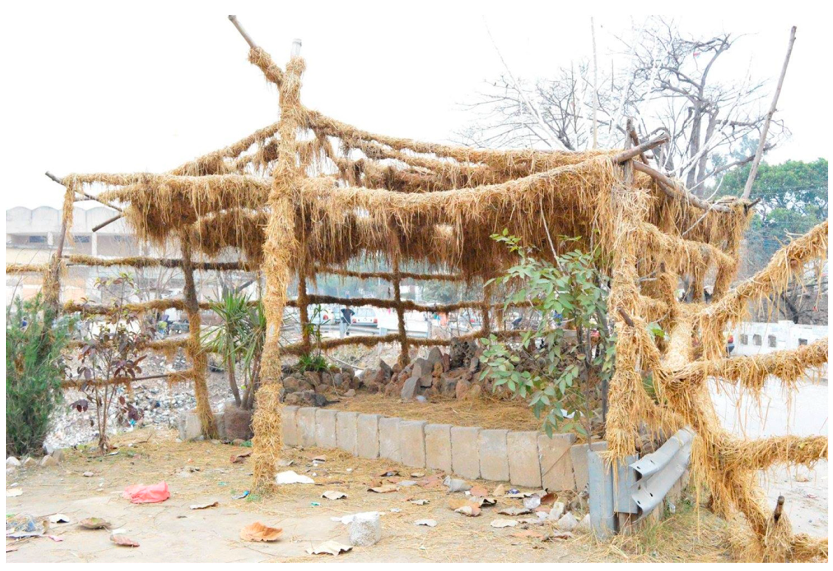 Sustainability 14 01515 g006