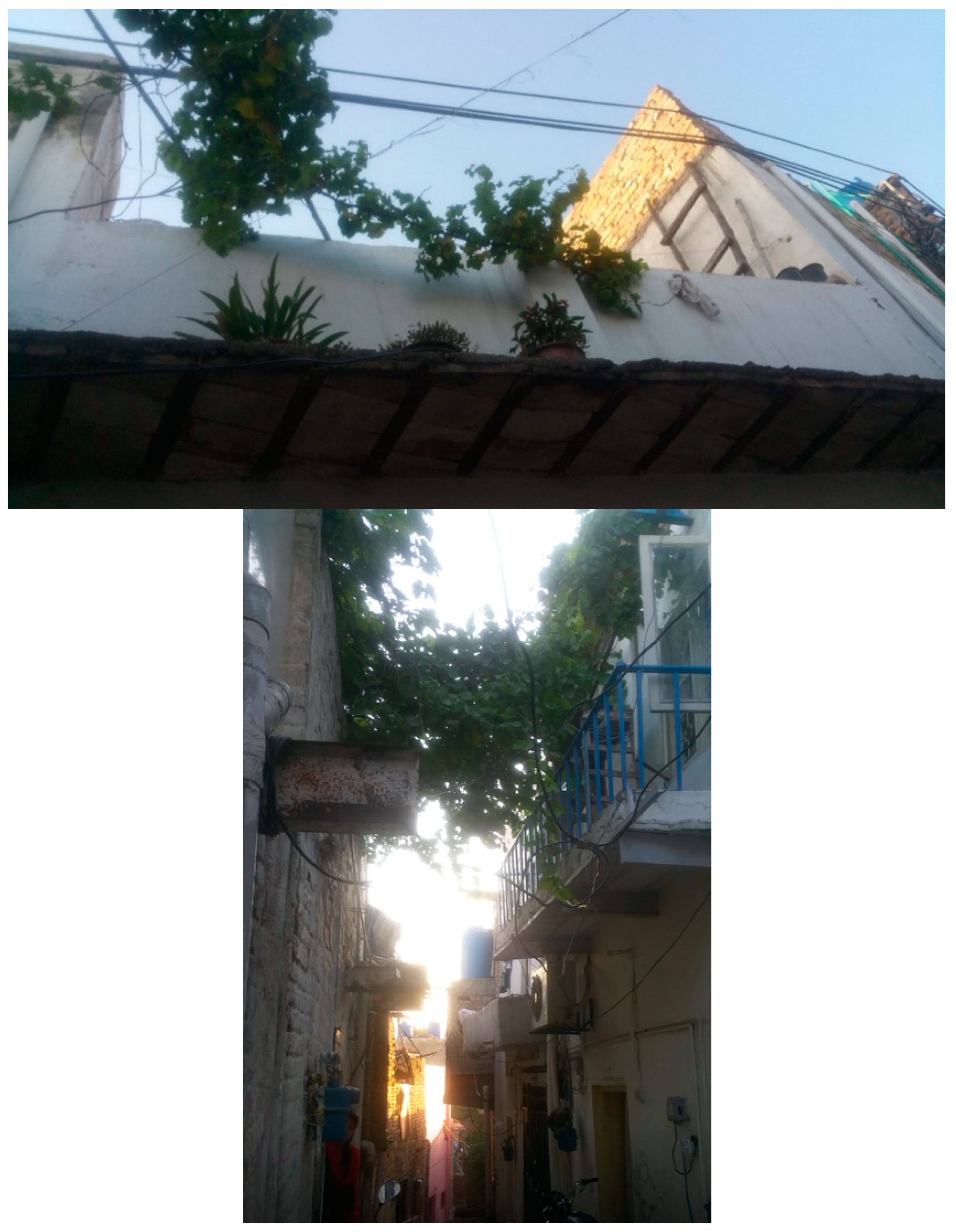 Sustainability 14 01515 g008