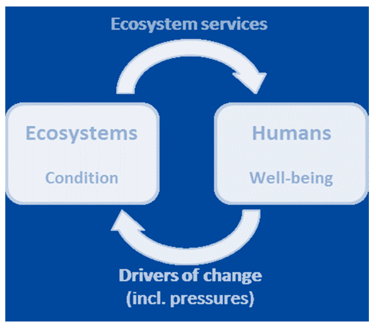 Sustainability 14 01516 g005