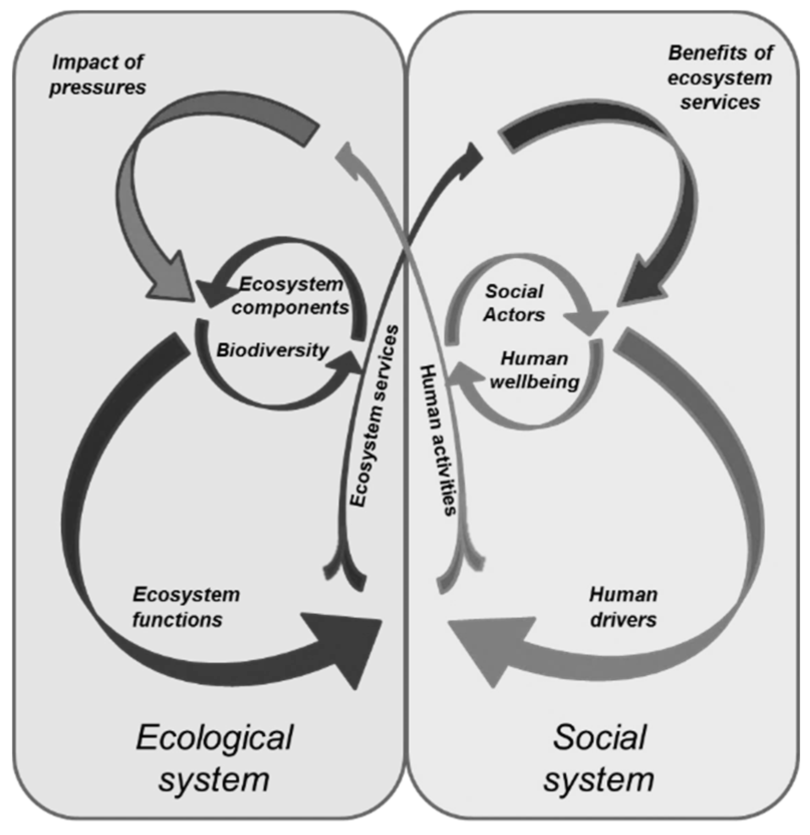 Sustainability 14 01516 g007