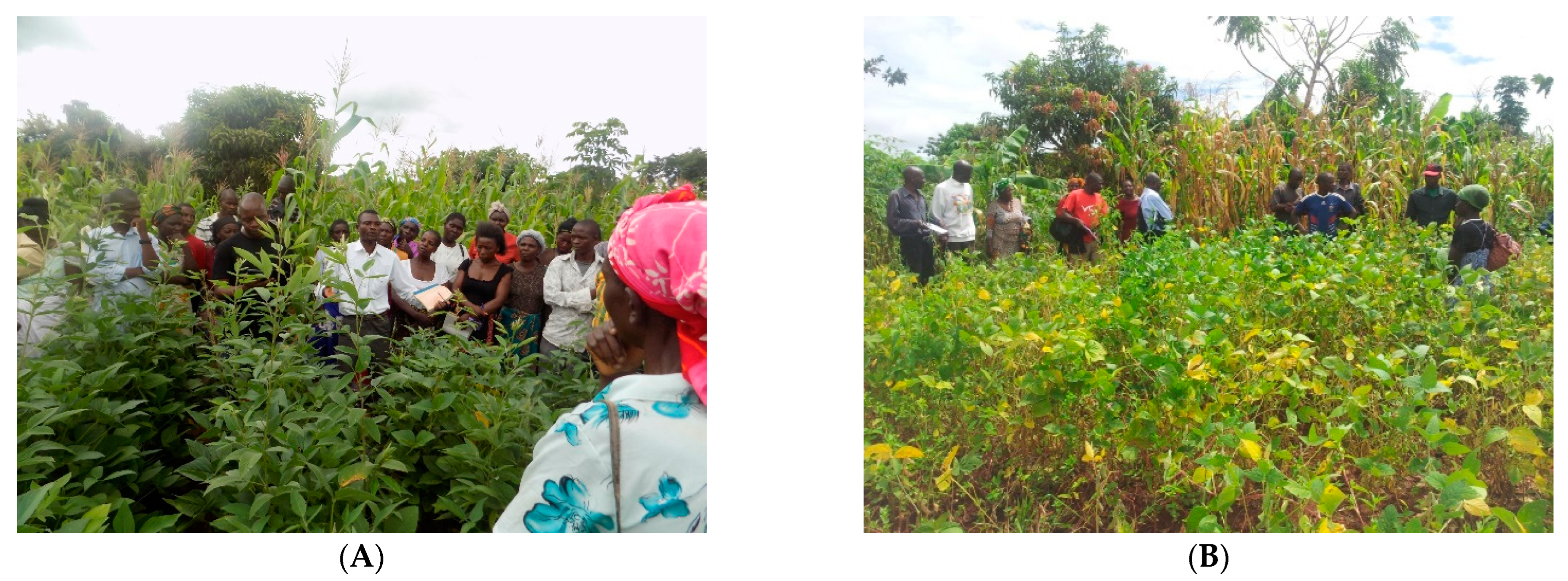 Sustainability 14 01532 g002