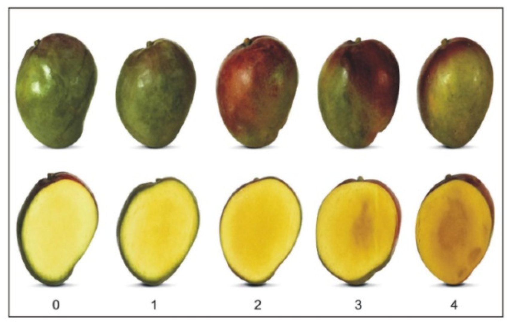 Sustainability 14 01548 g005