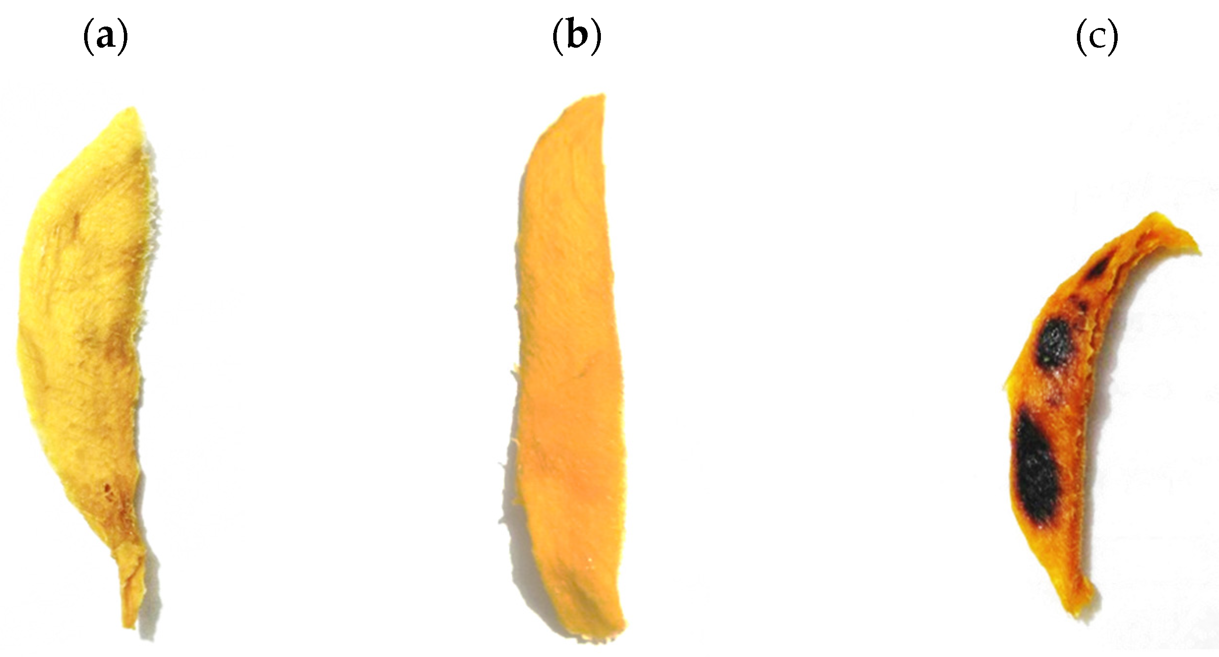 Sustainability 14 01548 g006