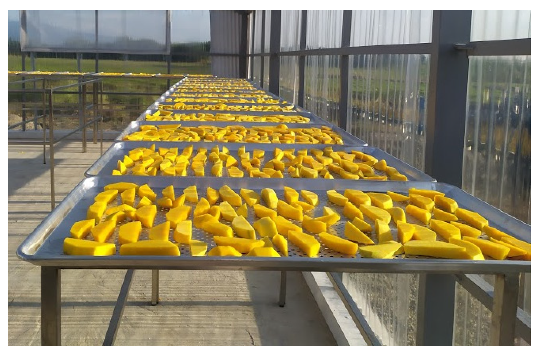 Sustainability 14 01548 g007